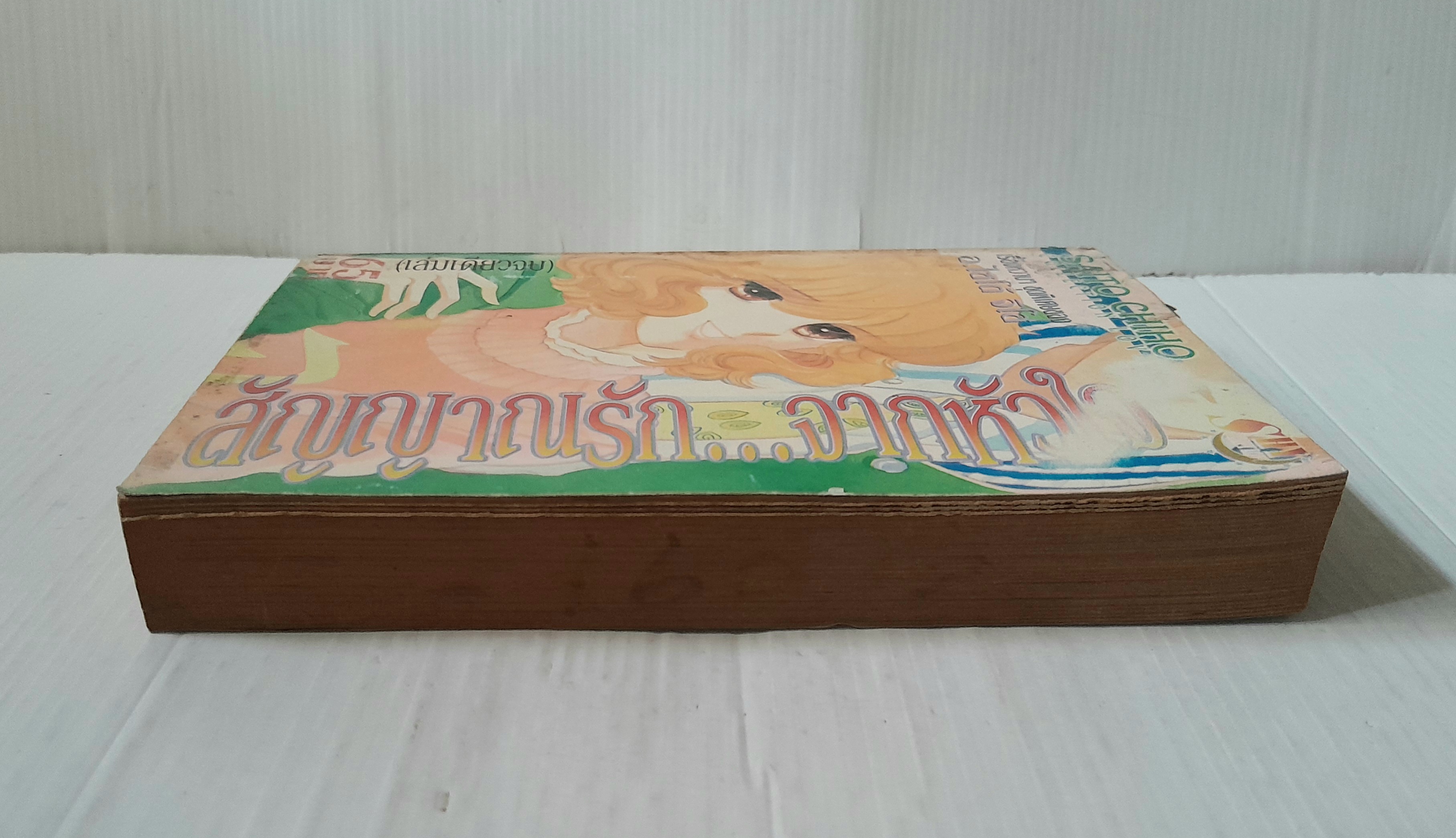 สัญญาณรัก...จากหัวใจ (เล่มเดียวจบ) / ไซโต้ จิโฮ