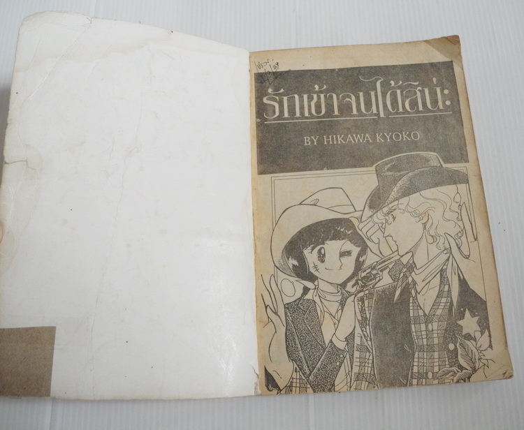 รักเข้าจนได้สินะ ( เล่มเดียวจบ ) / ฮิคาวะ เคียวโกะ