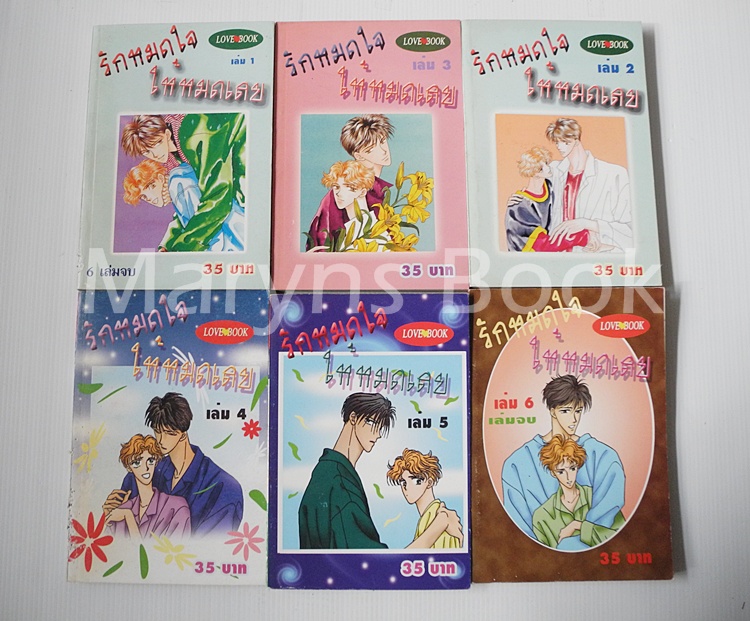 รักหมดใจ ให้หมดเลย 6 เล่มจบ