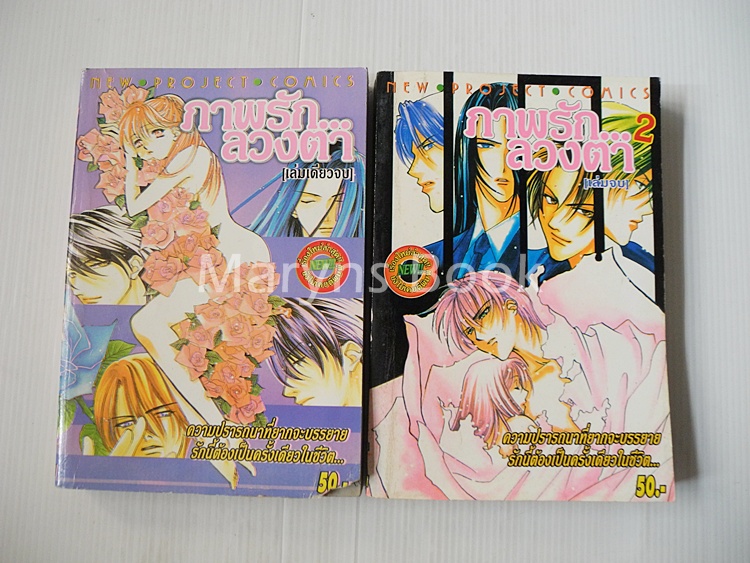 ภาพรัก..ลวงตา 2 เล่มจบ / Osakabe mashin