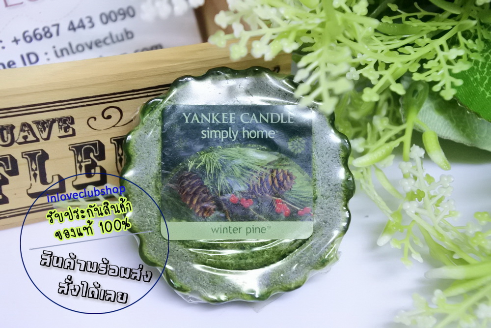 Yankee Candle / Tarts Wax Melts 22 g. (Winter Pine)