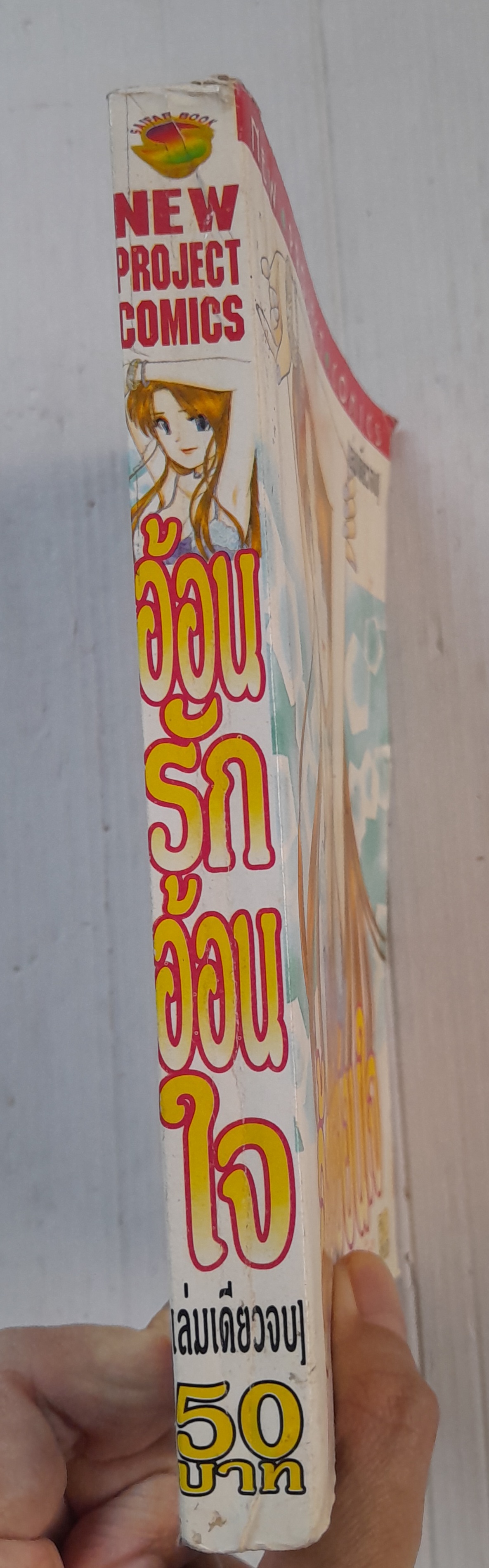 อ้อนรักอ้อนใจ (เล่มเดียวจบ)