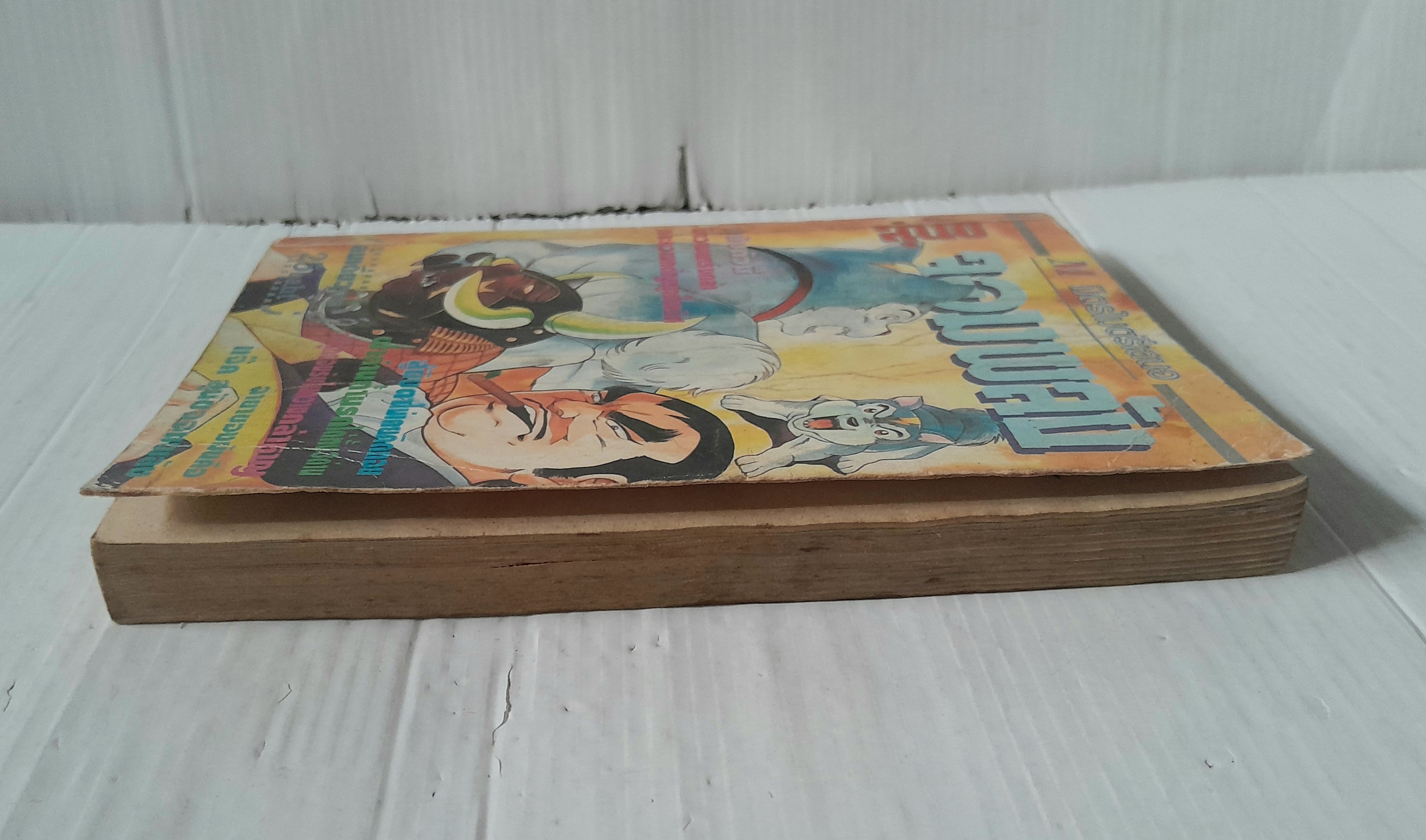 สุนัขจอมพลัง (เล่มเดียวจบ)