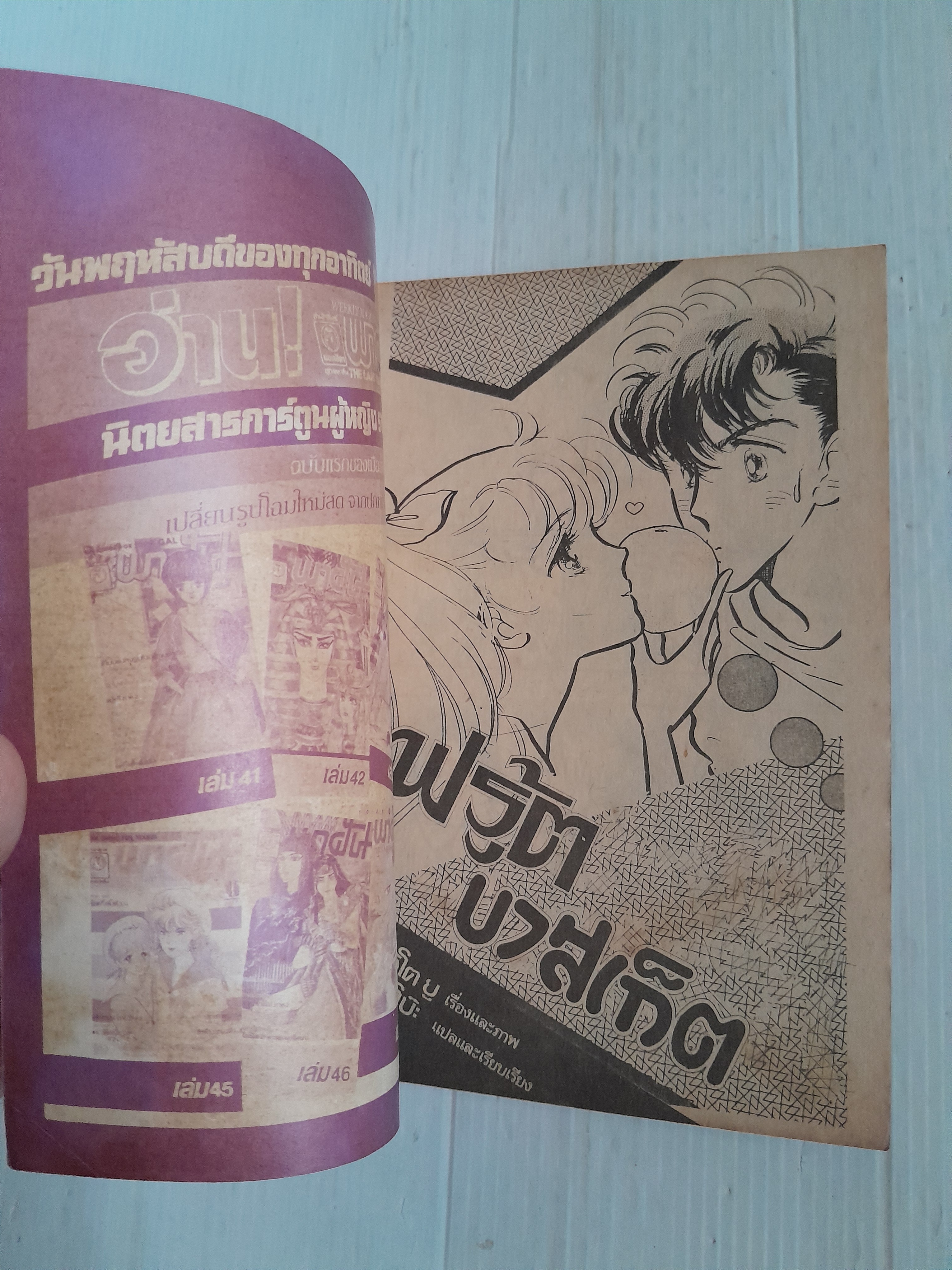 ฟรุ้ต บาสเก็ต (เล่มเดียวจบ)