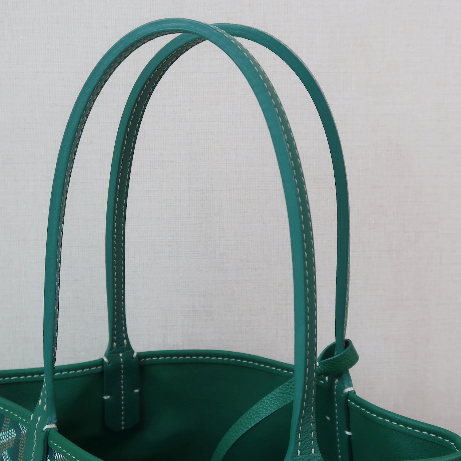 Goyard Green Monogram Anjou Mini Bag (2024)