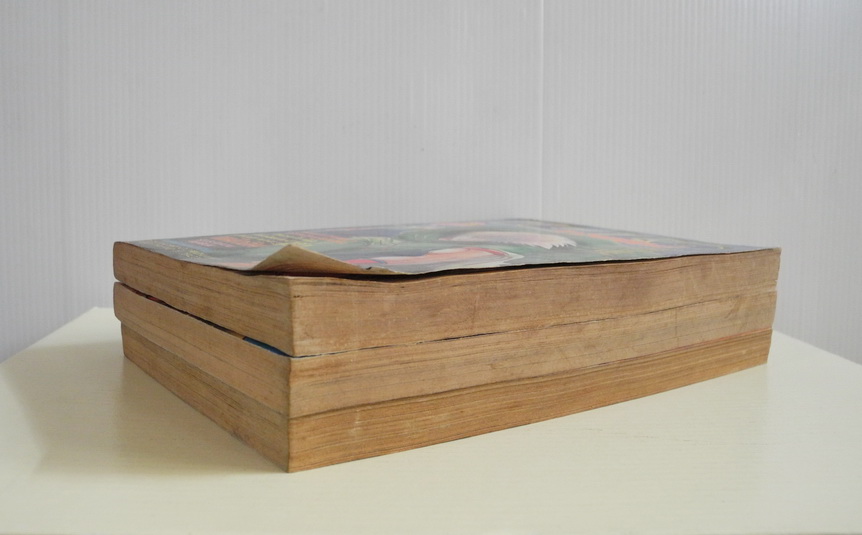 ไบโอ จ้าวพยัคฆ์ เล่ม1-3