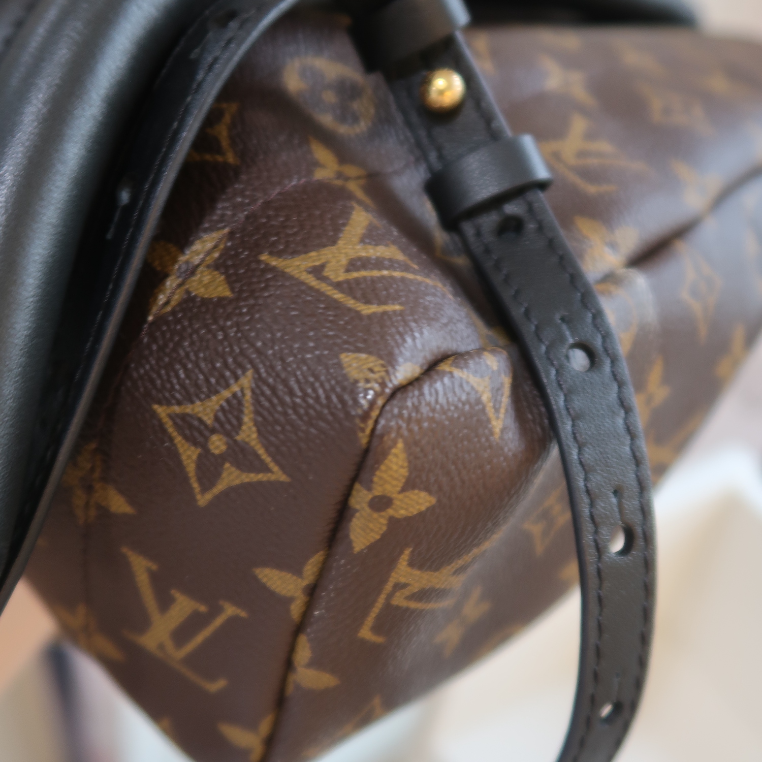 Louis Vuitton Monogram Palm Spring MM