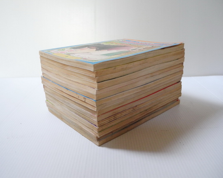 หน้าต่างอาถรรพณ์ 15 เล่มจบ / Riyoko Ikeda