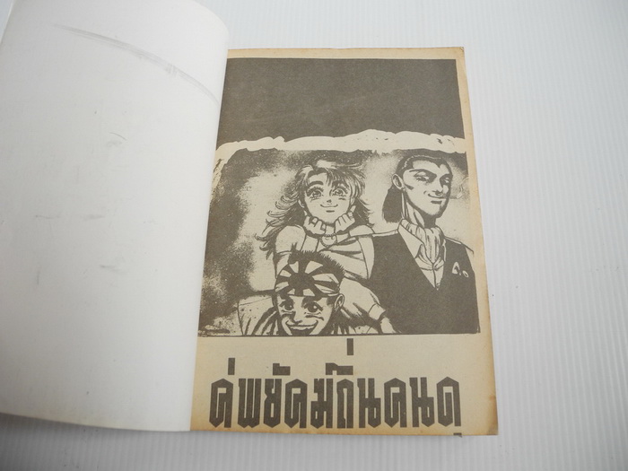 2 พยัคฆ์ถิ่นคนดุ ( เล่มเดียวจบ )