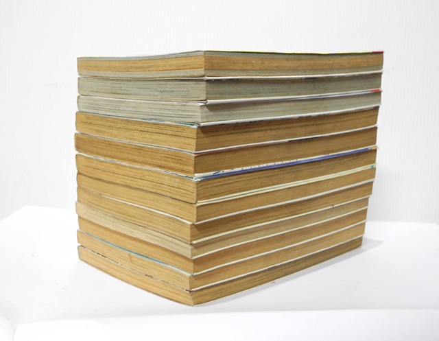 จอมคนแดนฝัน 14 เล่มจบ (ขาดเล่ม 13,14)