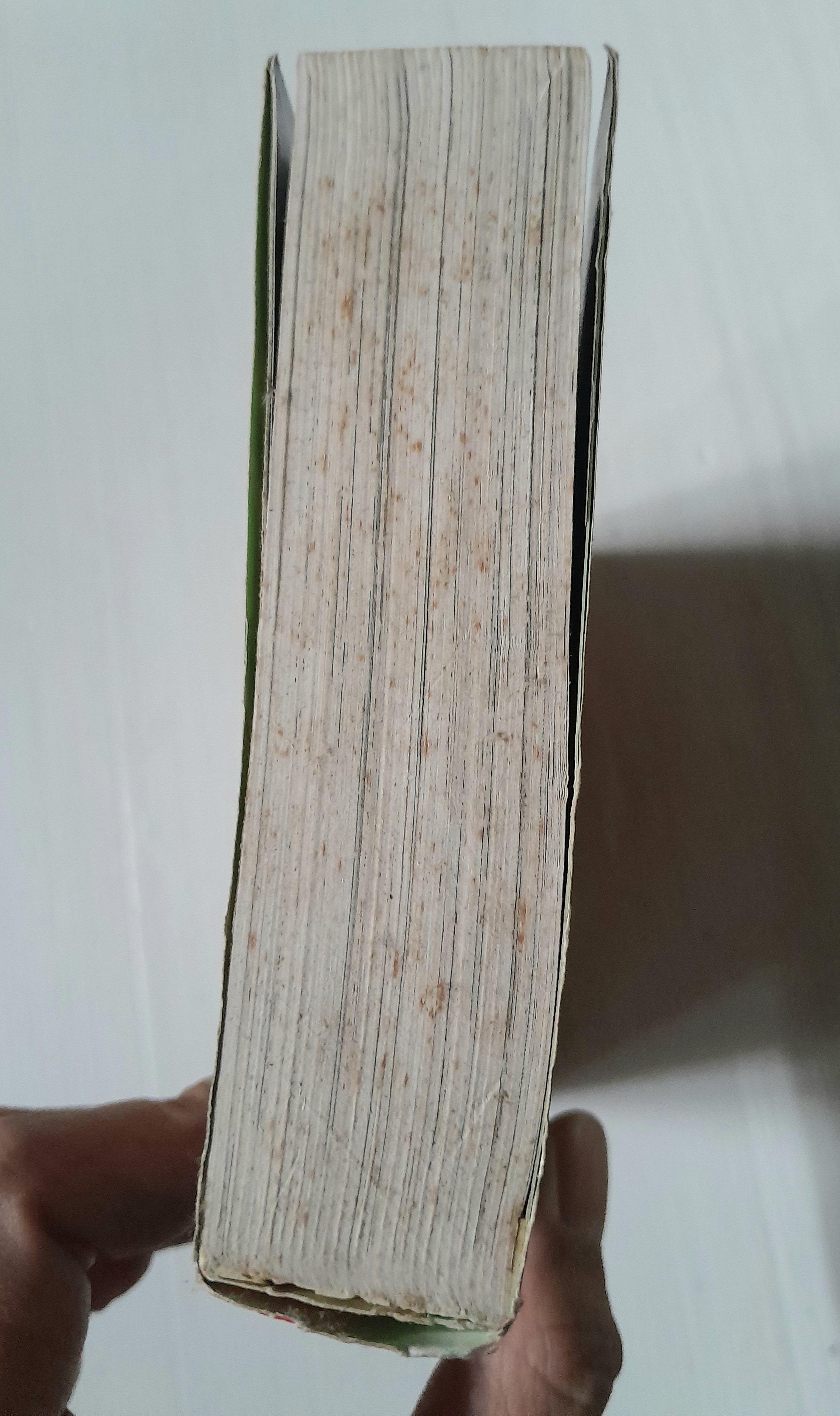 เทพฤทธิ์ปลิดวิญญาณ เล่ม 1 (3 เล่มจบ) / Ihikawa Yugo