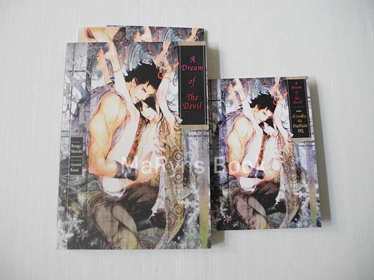 a dream of the devil (เล่มเดียวจบ)