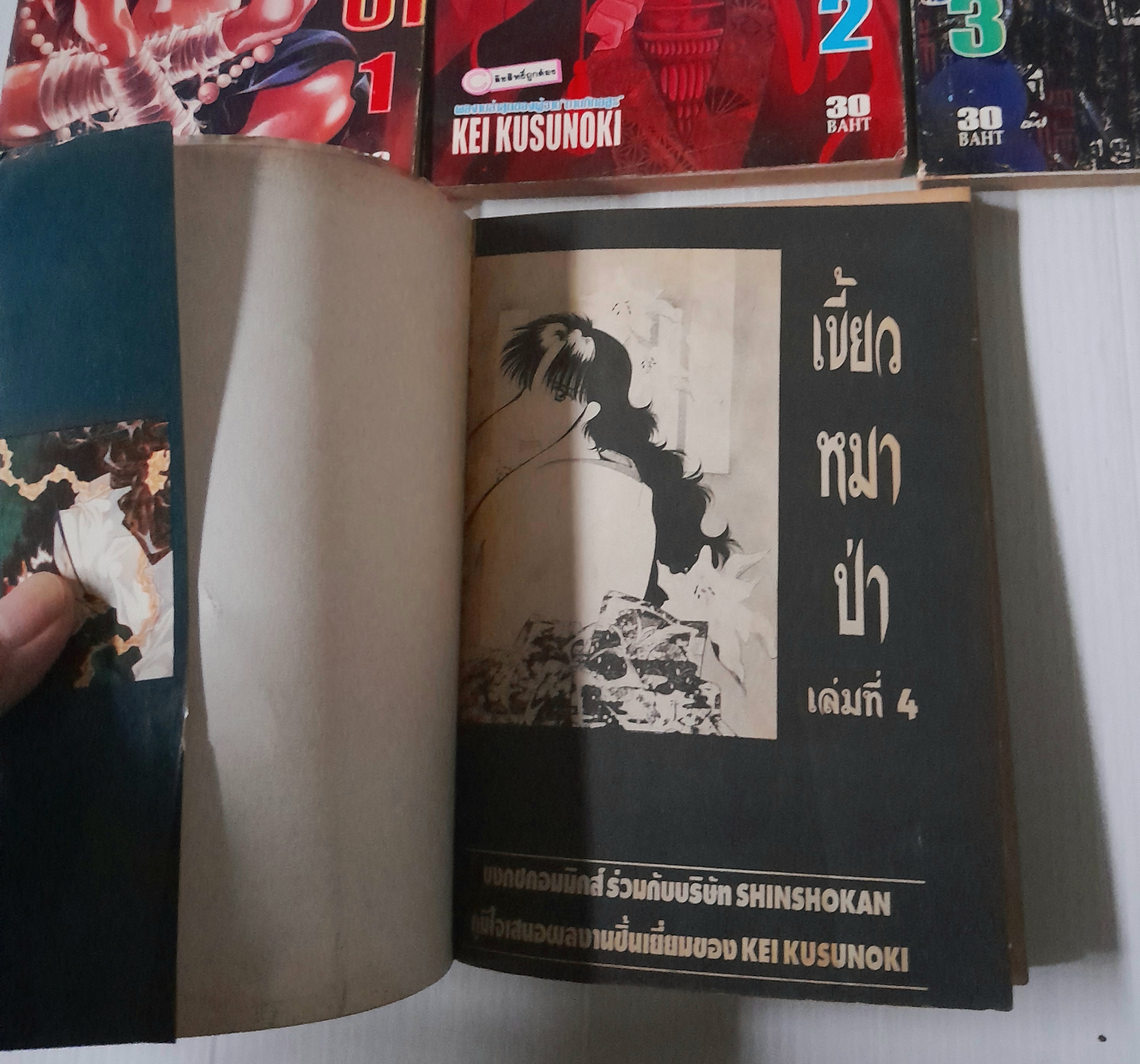 เขี้ยวหมาป่า 4 เล่มจบ / Kei Kusunoki