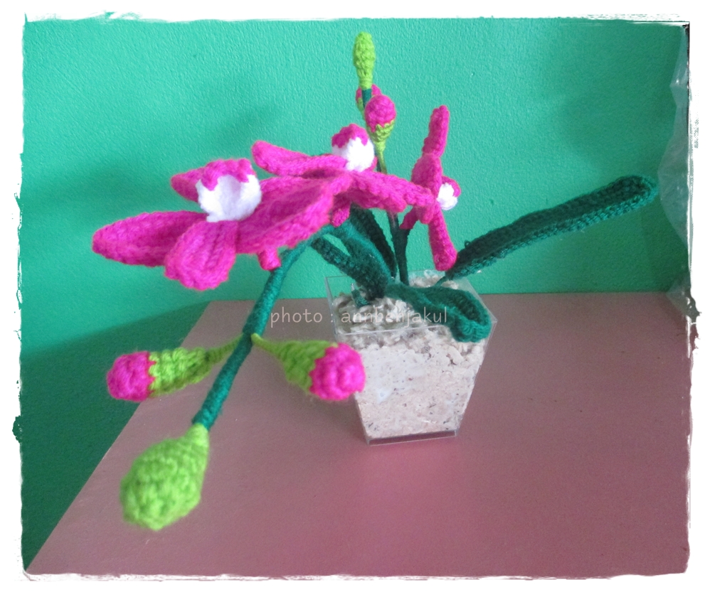 กล้วยไม้ถัก (orchid crochet)