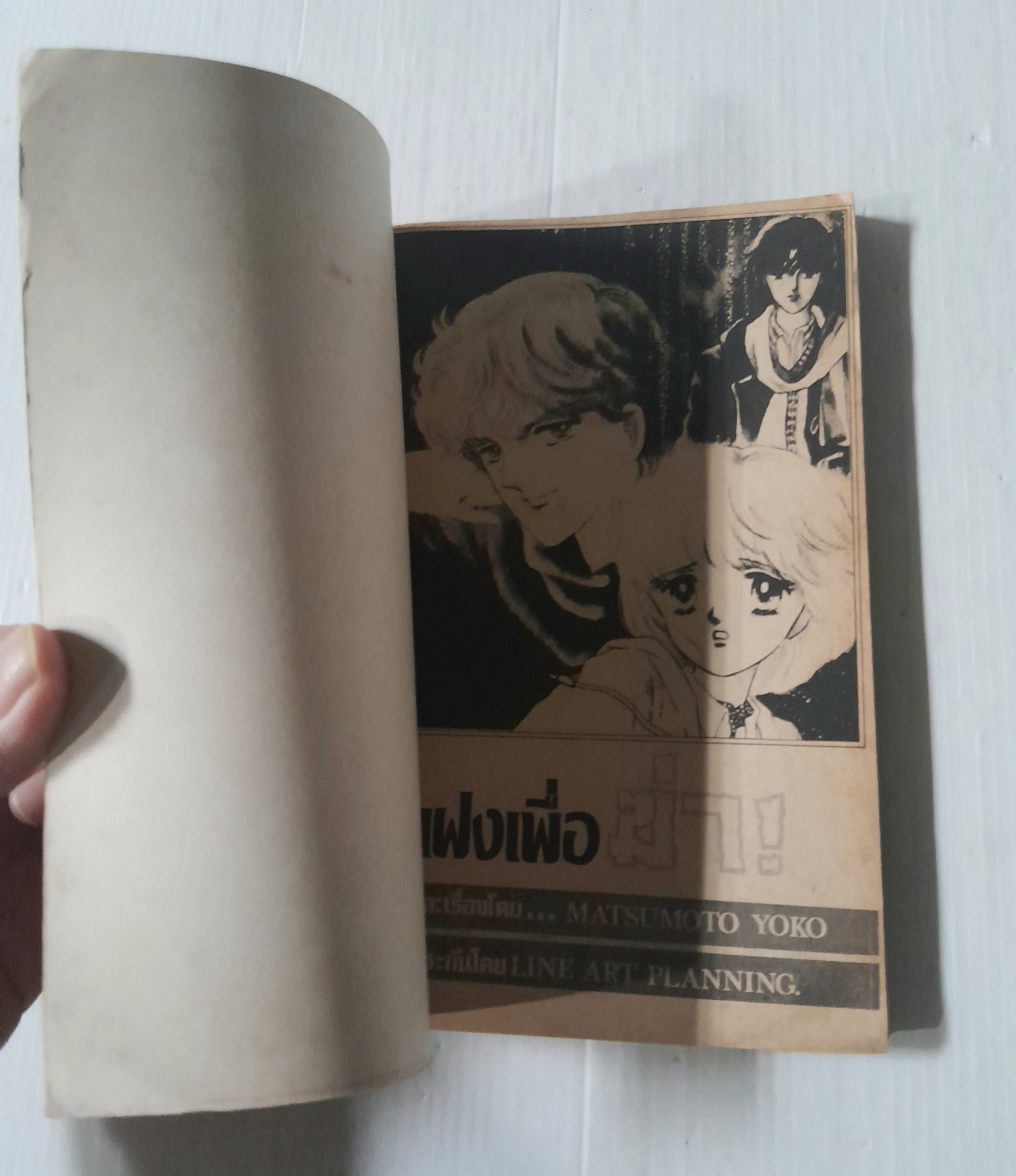 แฝงเพื่อฆ่า (เล่มเดียวจบ) / Matsumoto Yoko