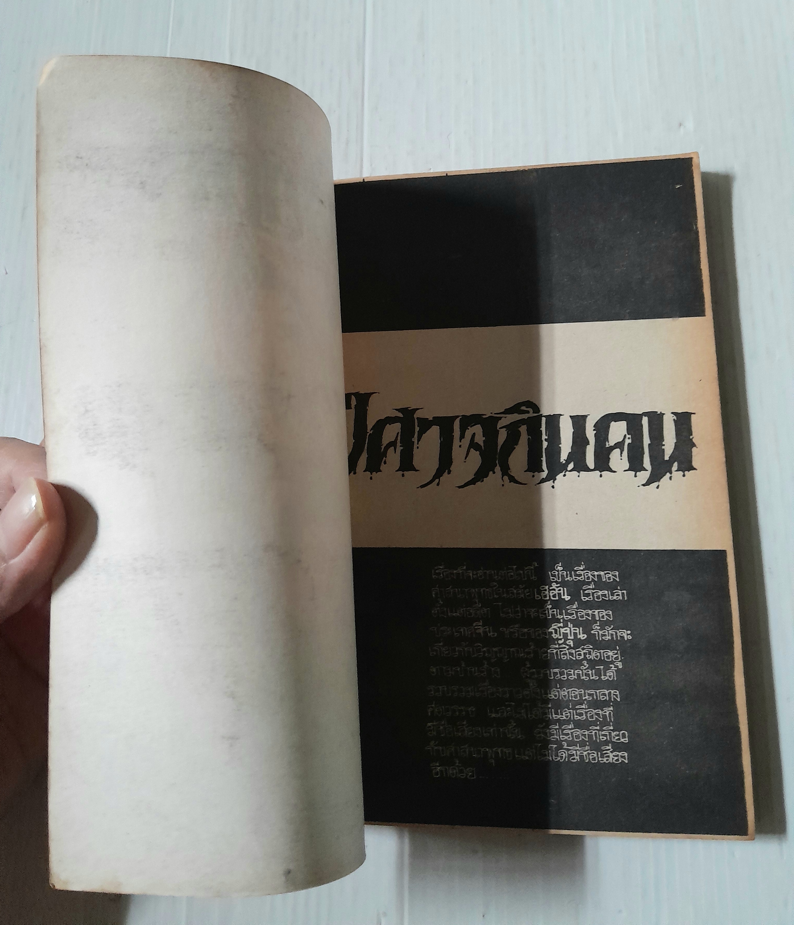 ปีศาจกินคน (เล่มเดียวจบ)