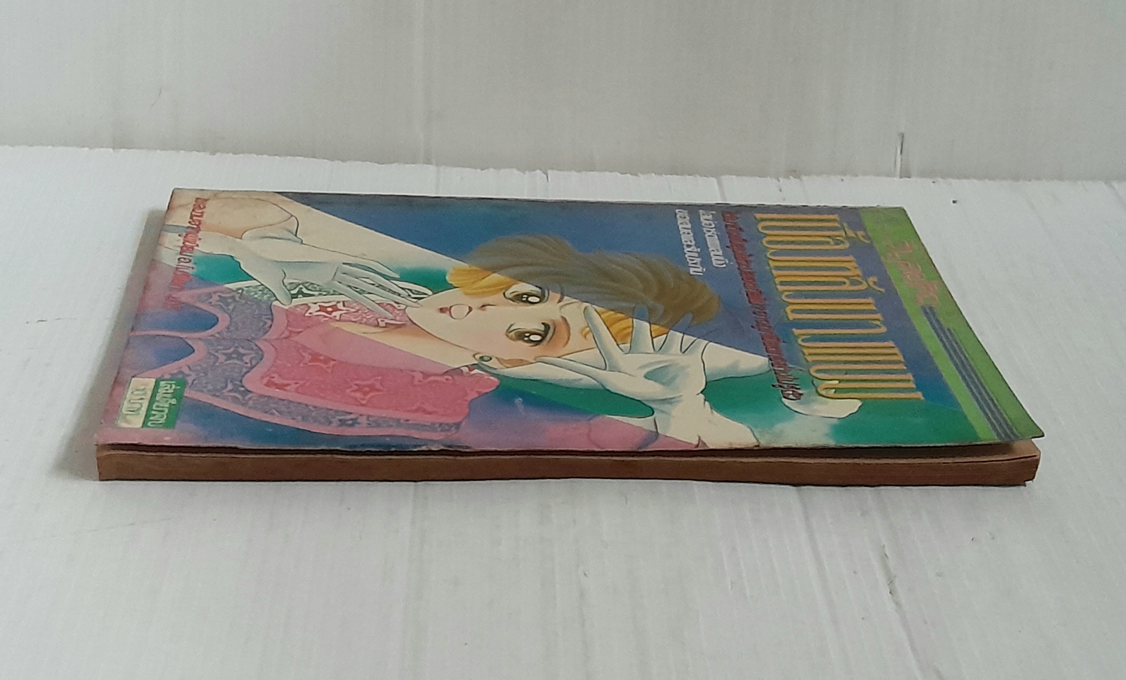 เบื้องหลังนางแบบ (เล่มเดียวจบ) / Morioka mari