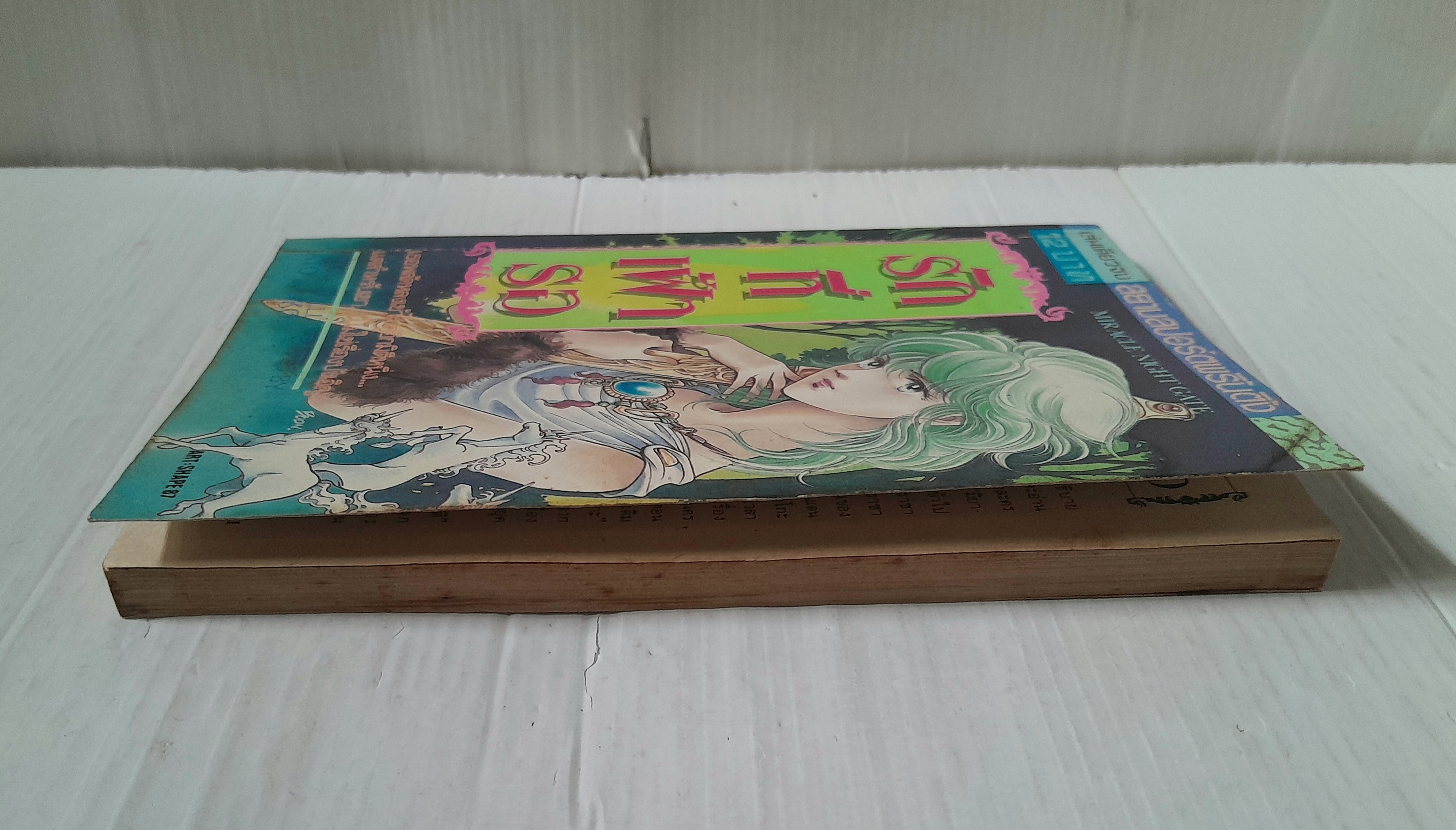 รักที่เฝ้ารอ (เล่มเดียวจบ) / Ato Junko