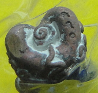 พระอาจารย์ต้อม วัดท่าสะแบง