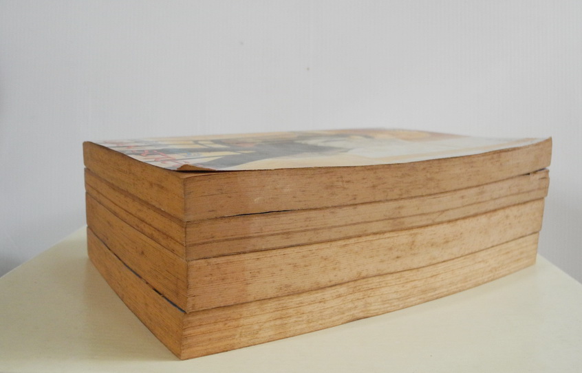 เอเลี่ยน สตรีท 4 เล่มจบ / Minako Narita