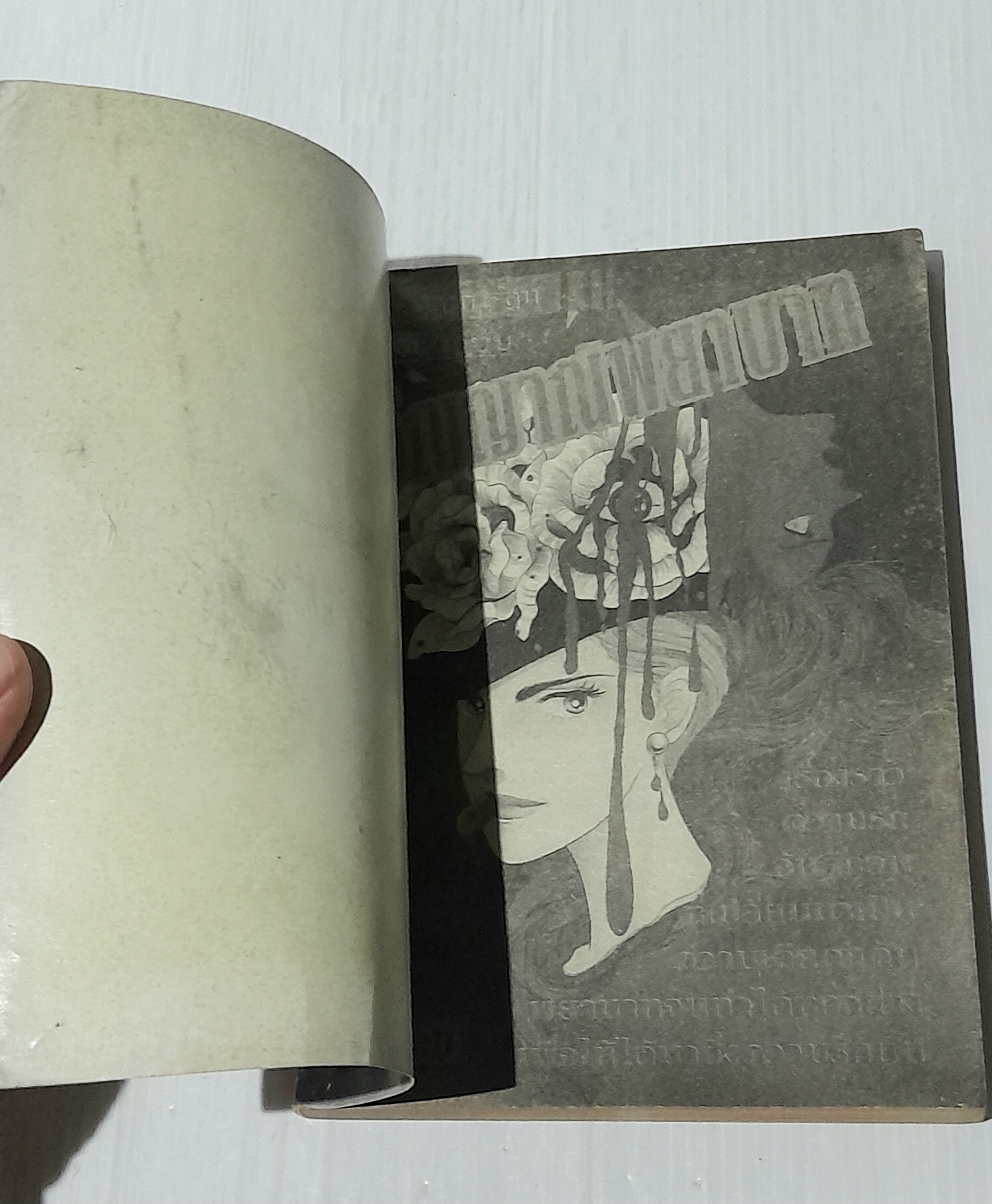 วิญญาณพยาบาท (เล่มเดียวจบ)