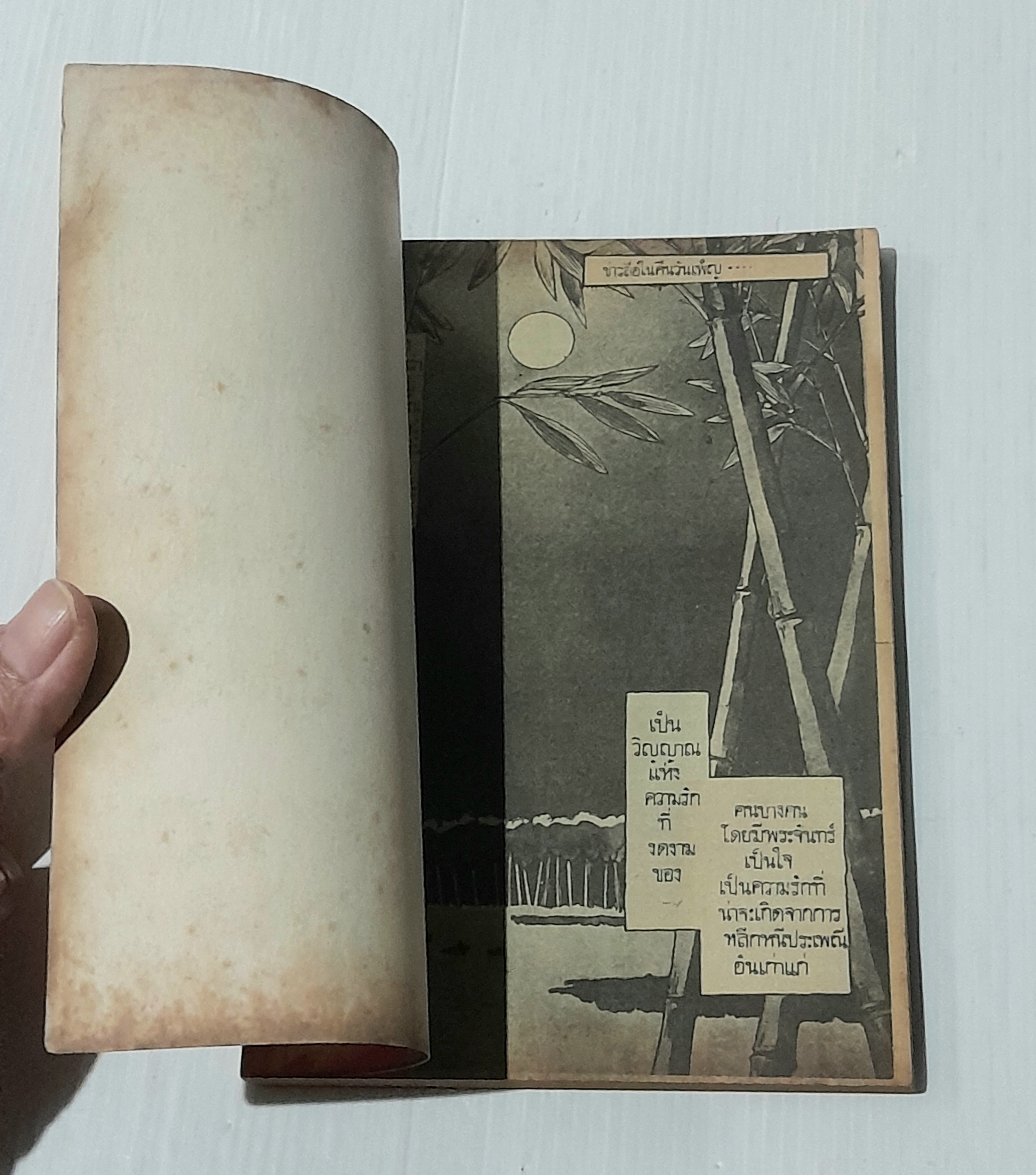 ข่าวลือในคืนเดือนเพ็ญ (เล่มเดียวจบ)