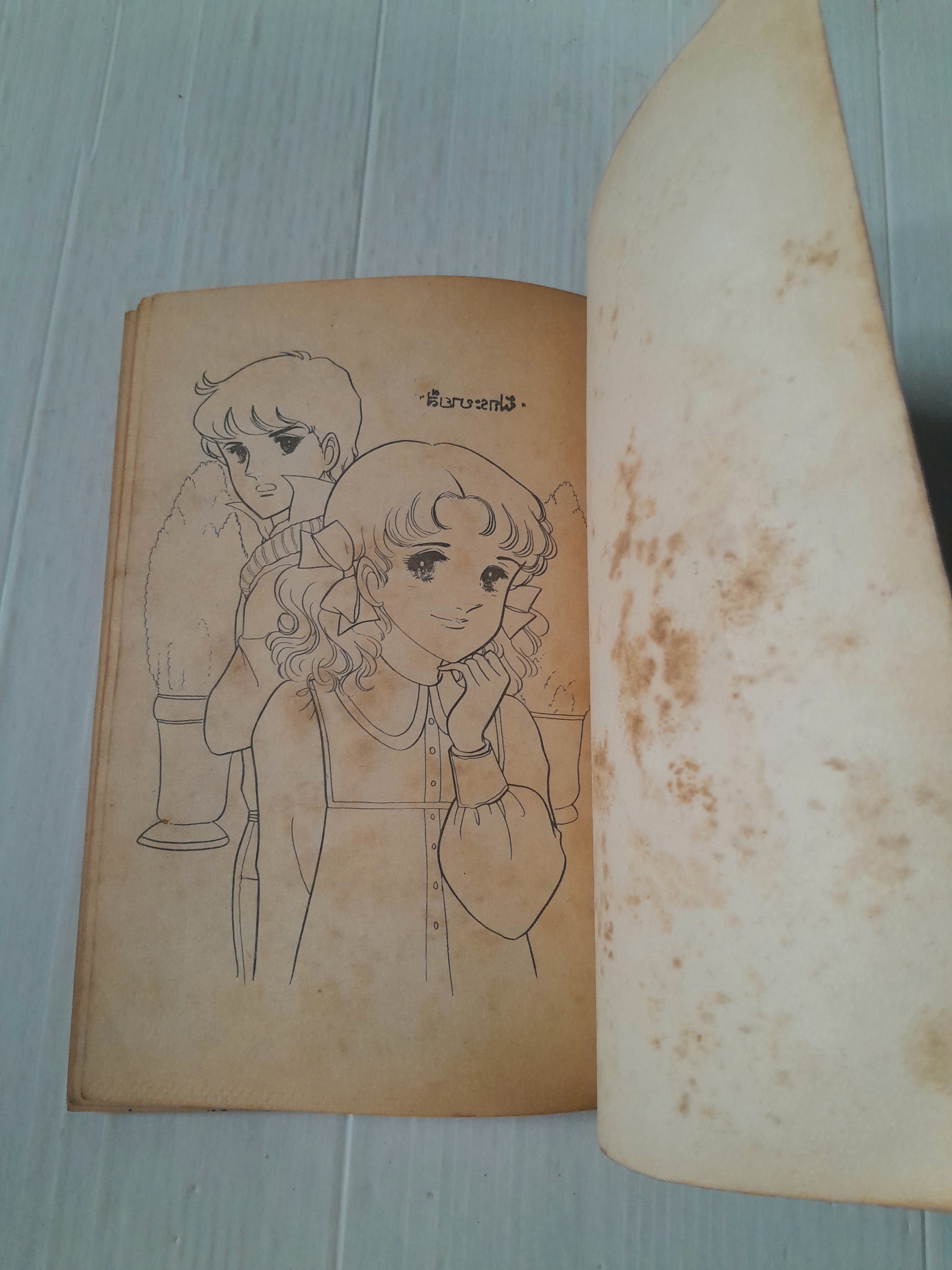 แอบรัก (เล่มเดียวจบ)