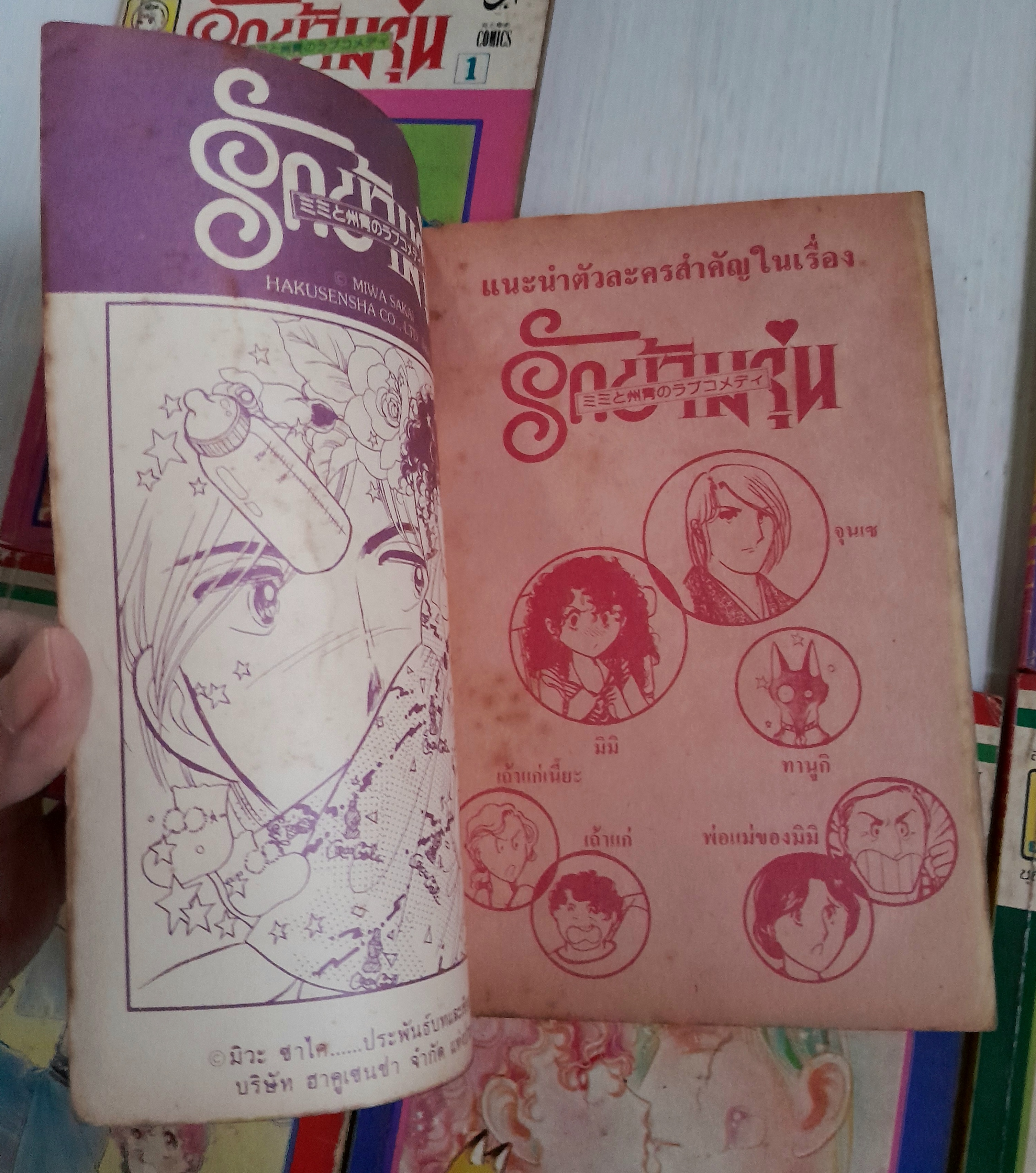 รักข้ามรุ่น 12 เล่มจบ / มิวะ ซาคาอิ