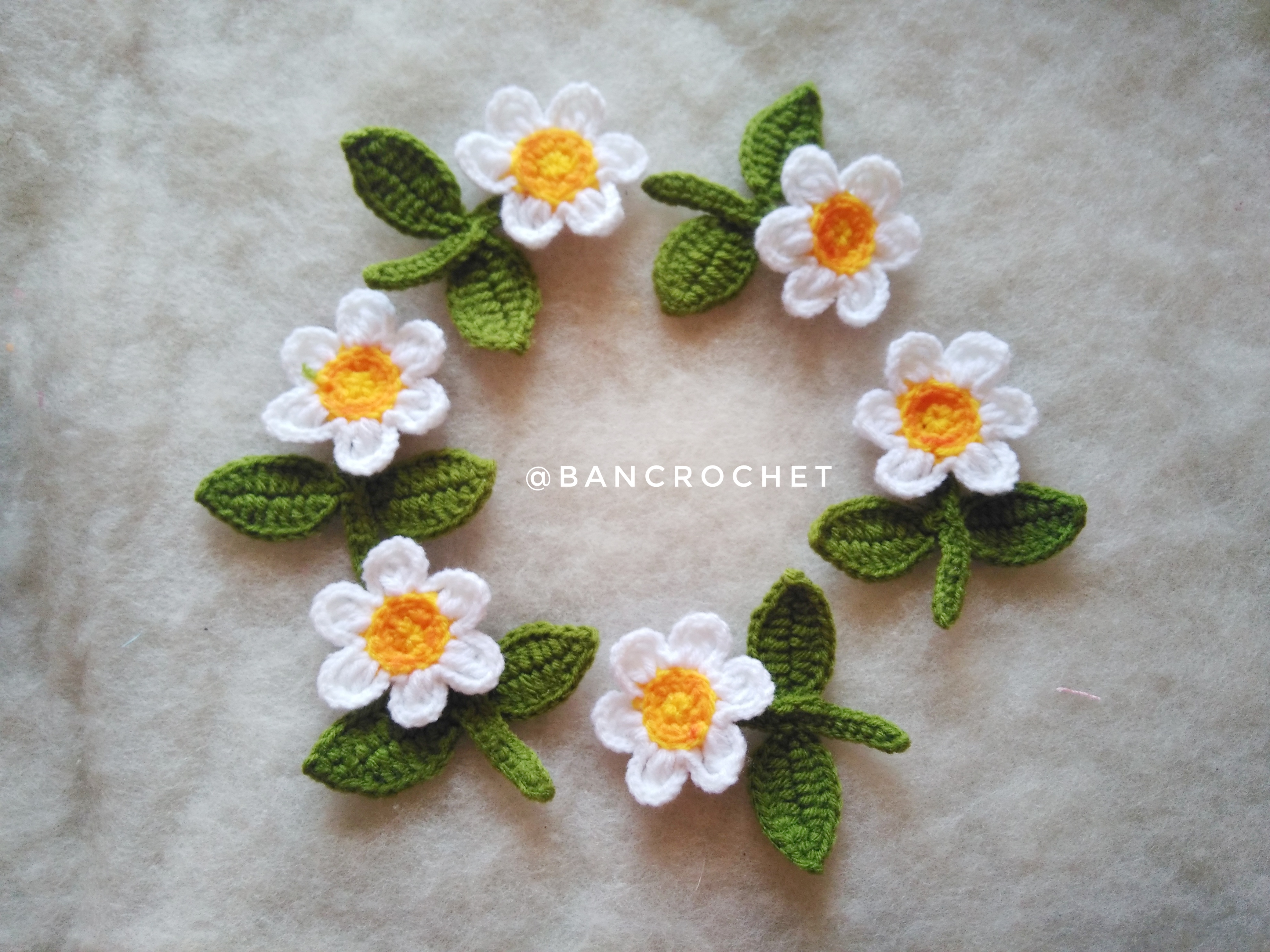 Bancrochet ดอกไม้สีขาวถักโครเชต์ White flowers Crochet สีขาว 3 นิ้ว