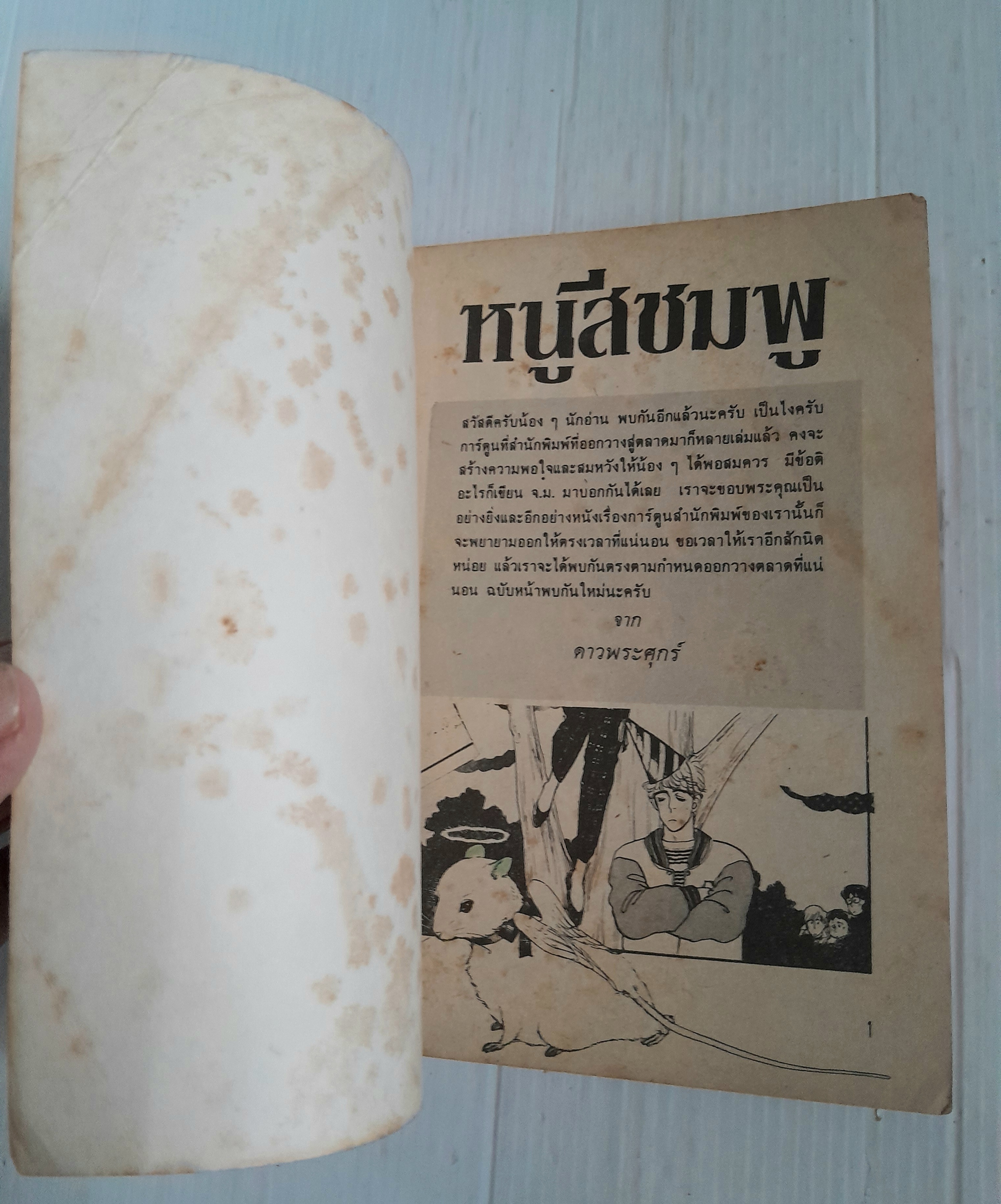 หนูสีชมพู (เล่มเดียวจบ)