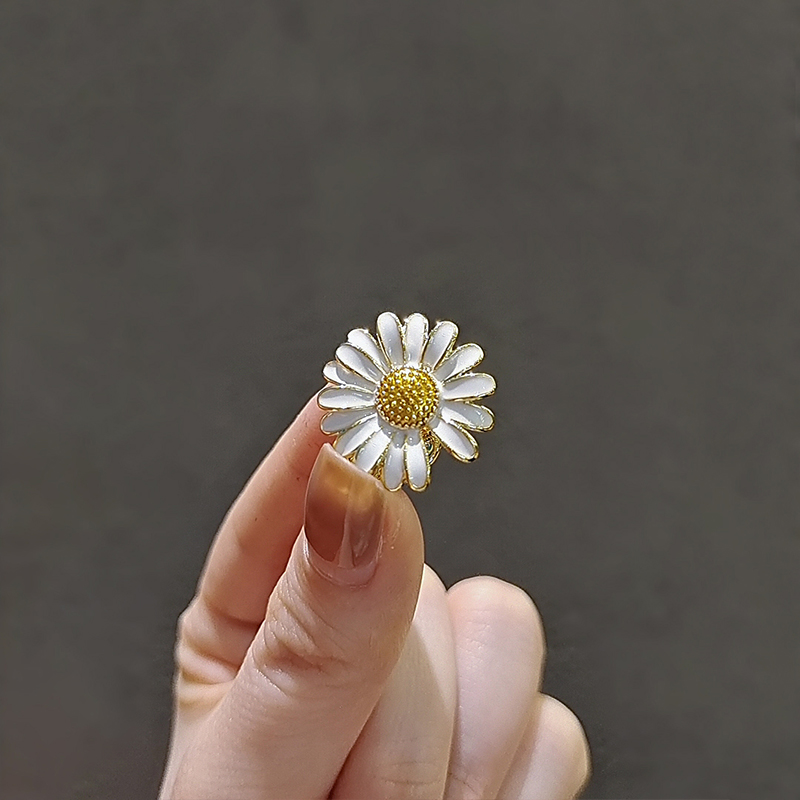 เข็มกลัด เข็มกลัดสวยๆ เข็มกลัดติดเสื้อ Brooch