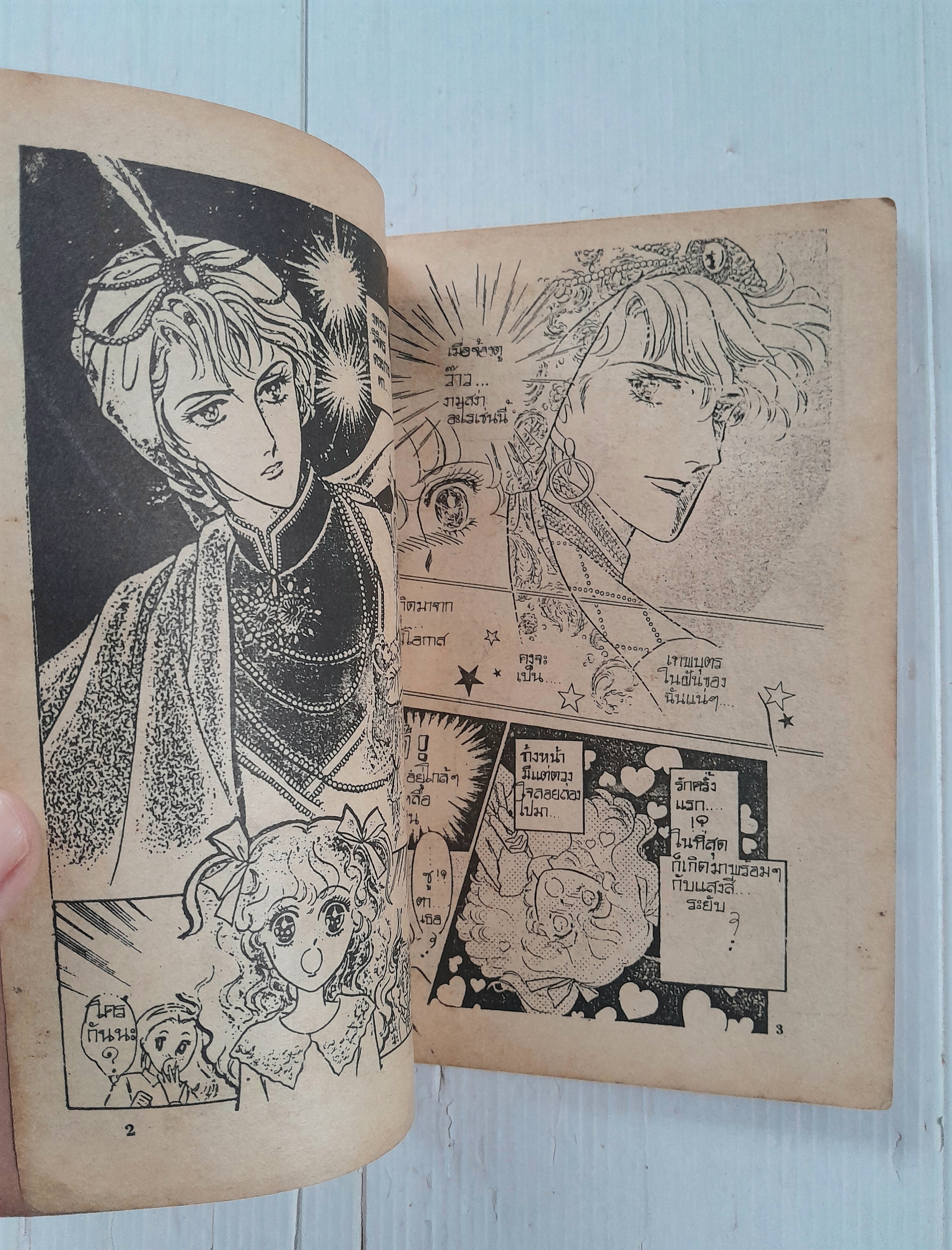 รักผิดทาง (เล่มเดียวจบ)