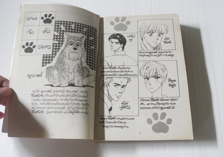 ตัวยุ่งยุงเกอร์ (เล่มเดียวจบ) / Morinaka Ai