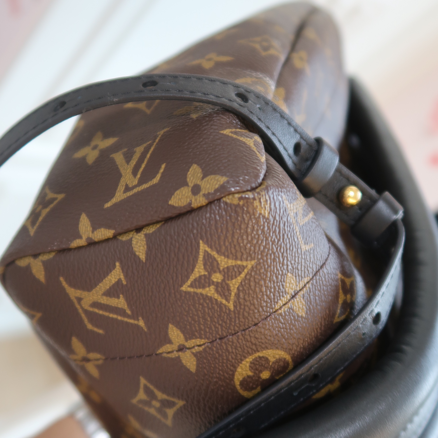 Louis Vuitton Monogram Palm Spring MM