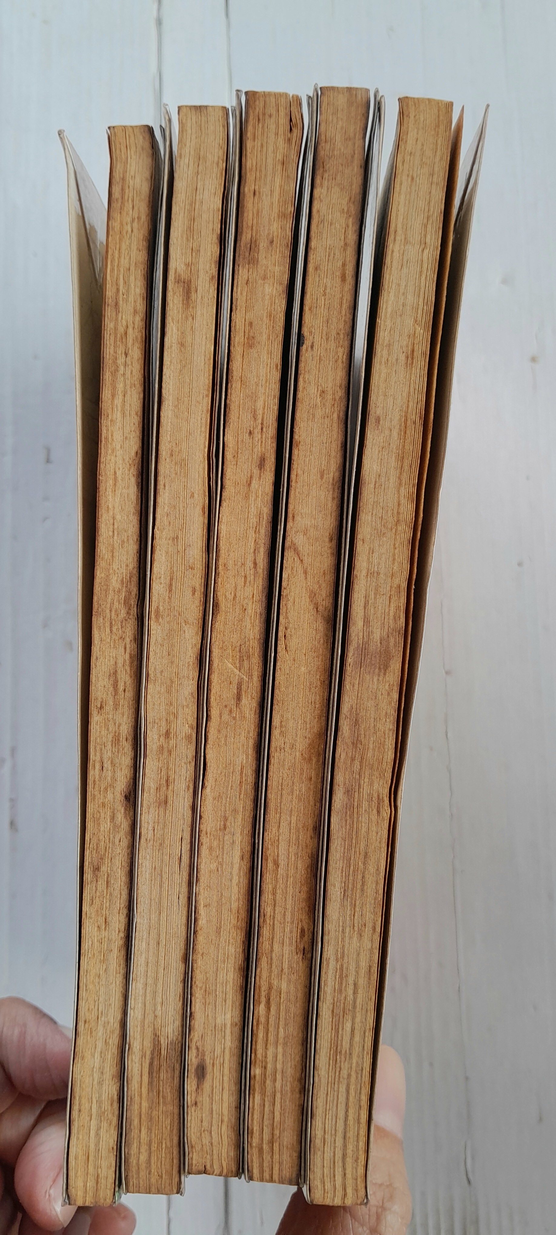 พยัคฆ์ร้ายกังฟู ภาค 2 (5 เล่มจบ) / Yoshima Yasuichi