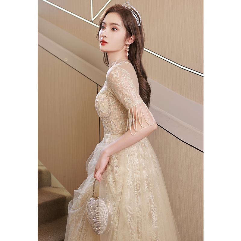 ชุดราตรี ชุดราตรีสวยหรู แบบ ทันสมัย Evening dress