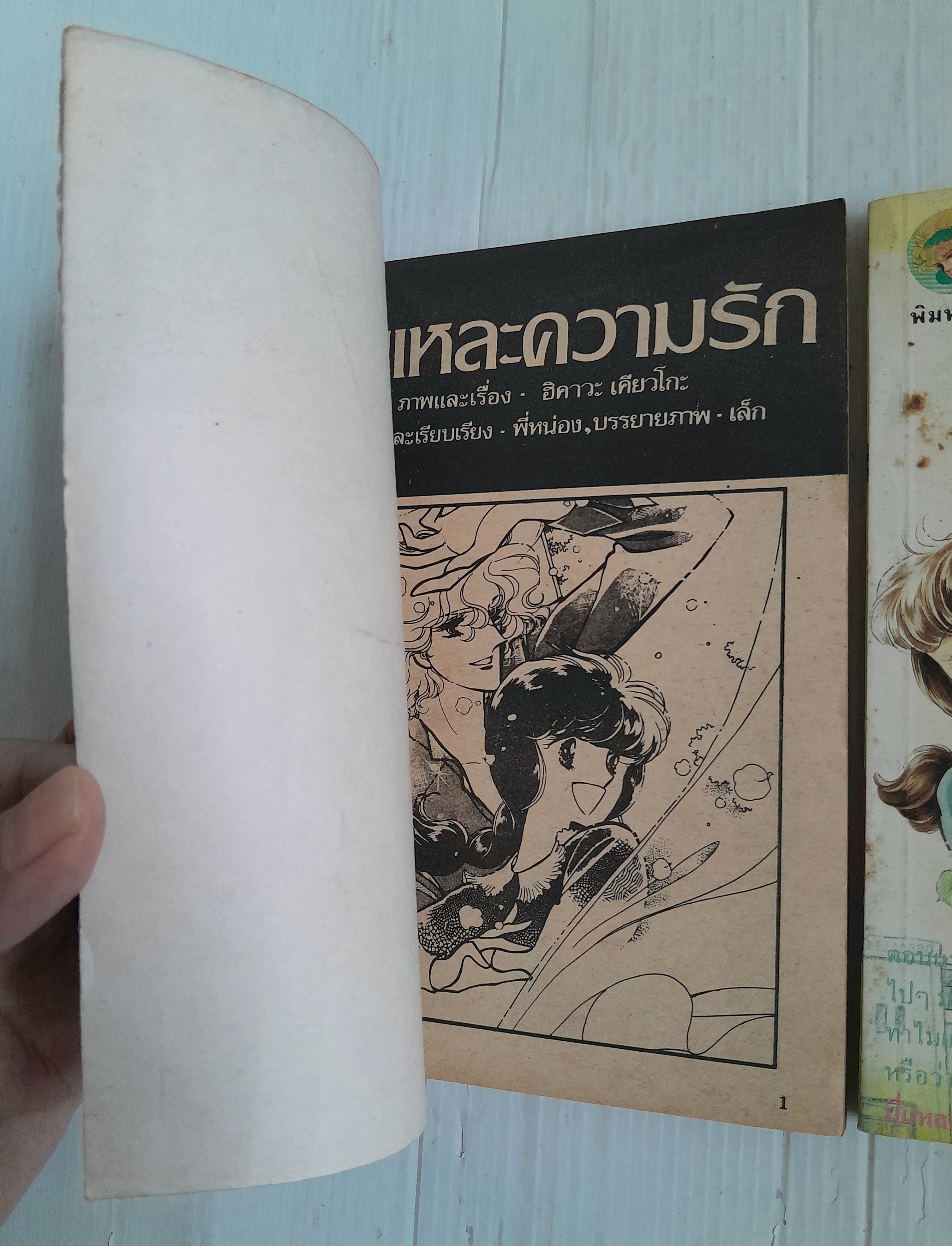 นี่แหละความรัก 2 เล่มจบ / ฮิคาวะ เคียวโกะ