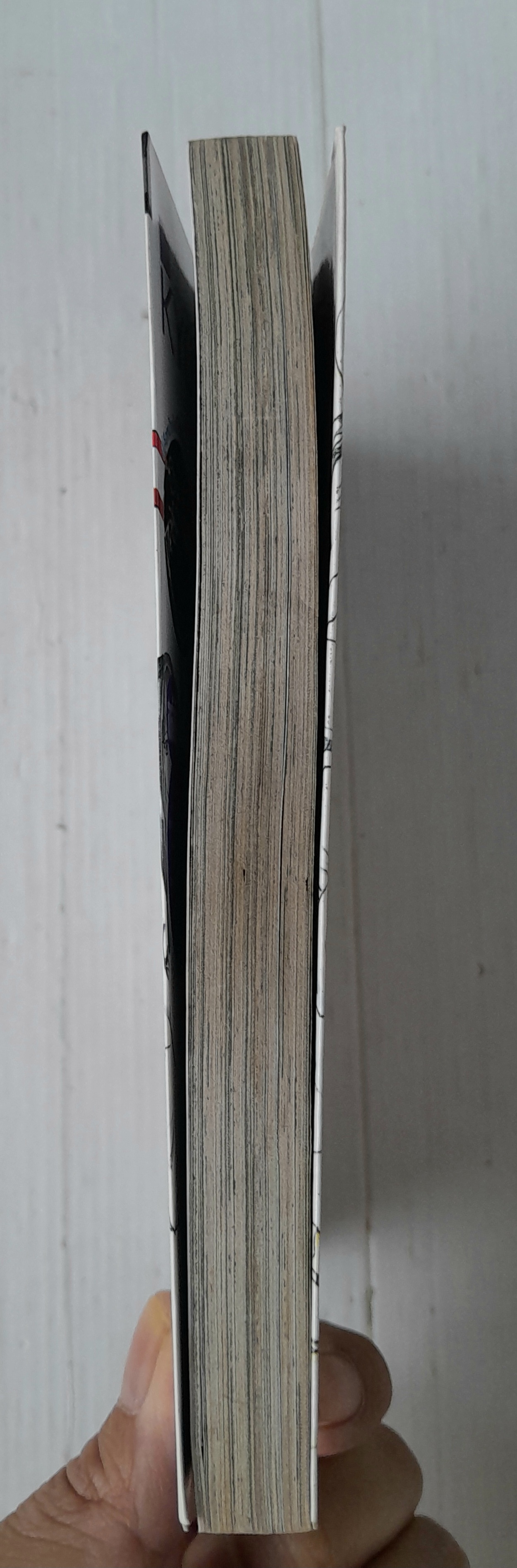 Samurai Deeper Kyo เล่ม 38 (38 เล่มจบ) / Kamijyo Akimine