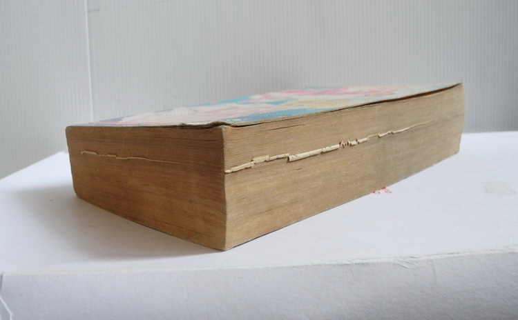 แคนดี้จอมแก่น เล่ม 2 (2 เล่มจบ) / Igarashi Yumiko