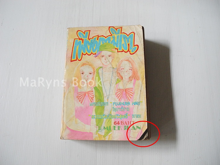 เพียงเรามีเรา (เล่มเดียวจบ) / FUJIMURA MARI
