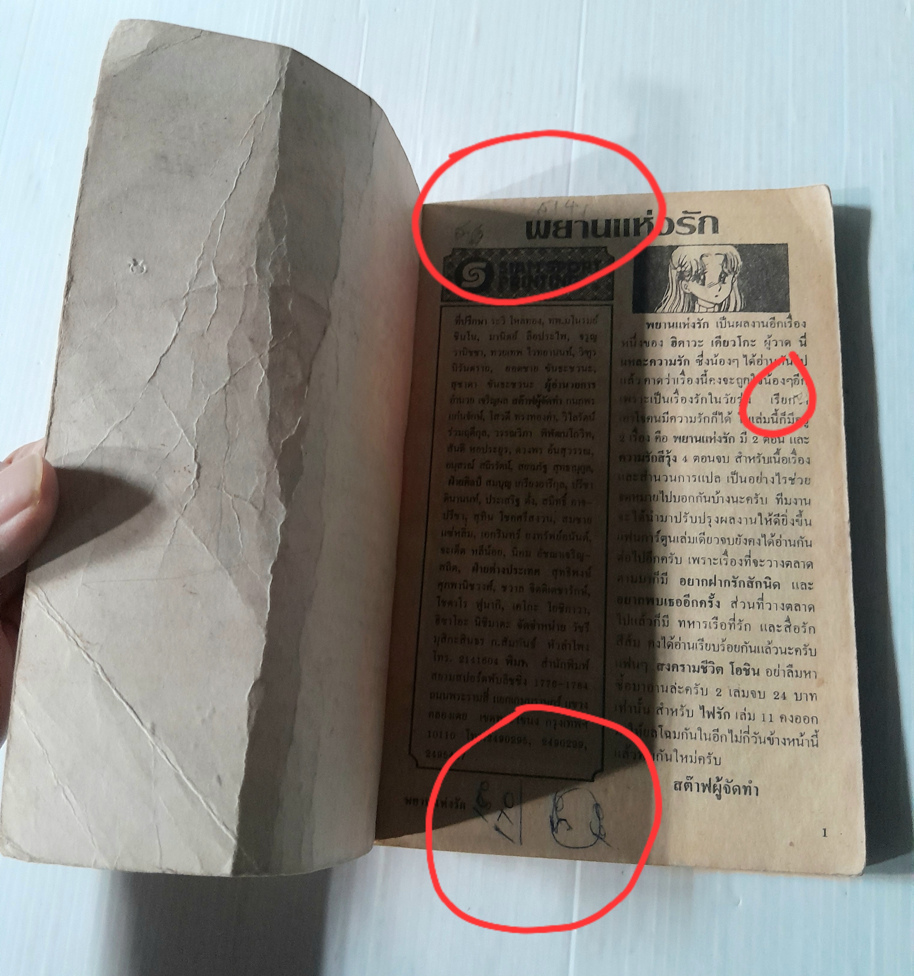 พยานแห่งรัก (เล่มเดียวจบ) / ฮิคาวะ เคียวโกะ