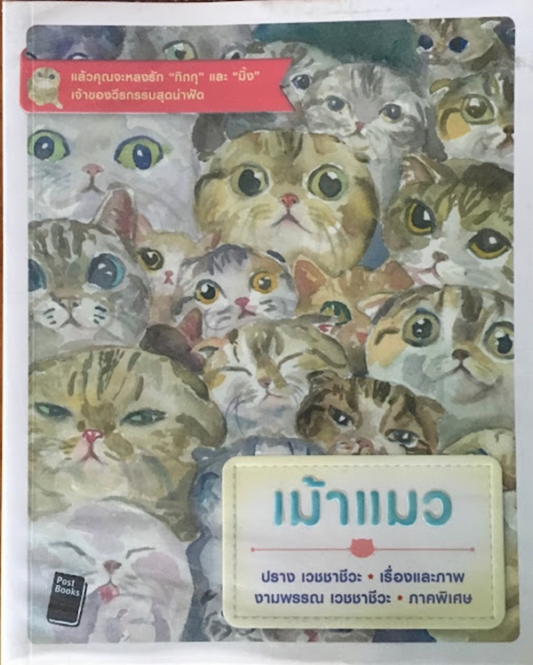 เม้าแมว