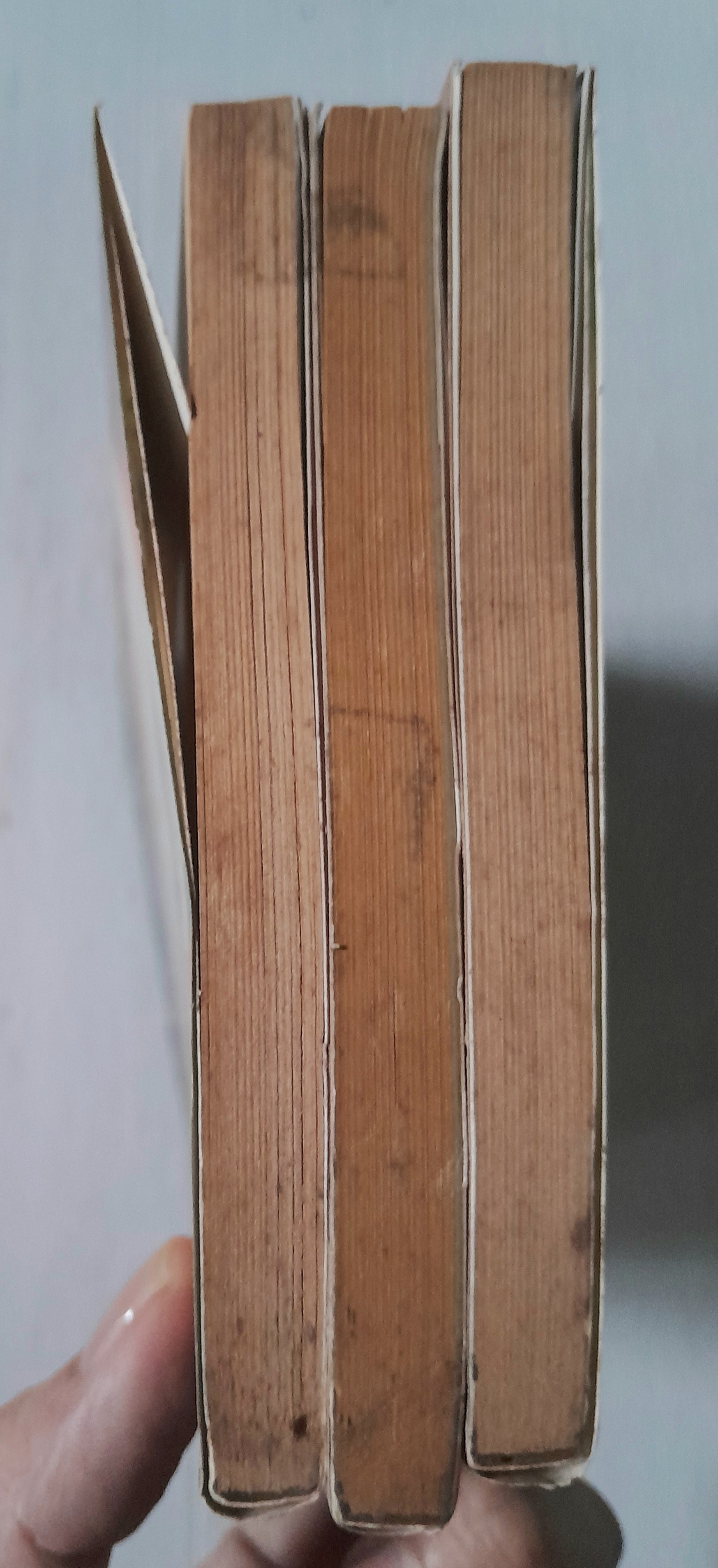 สาวน้อยปาฏิหาริย์ ASUKA ตอน โลหิตเมชิอา 3 เล่มจบ / Shinji Wada