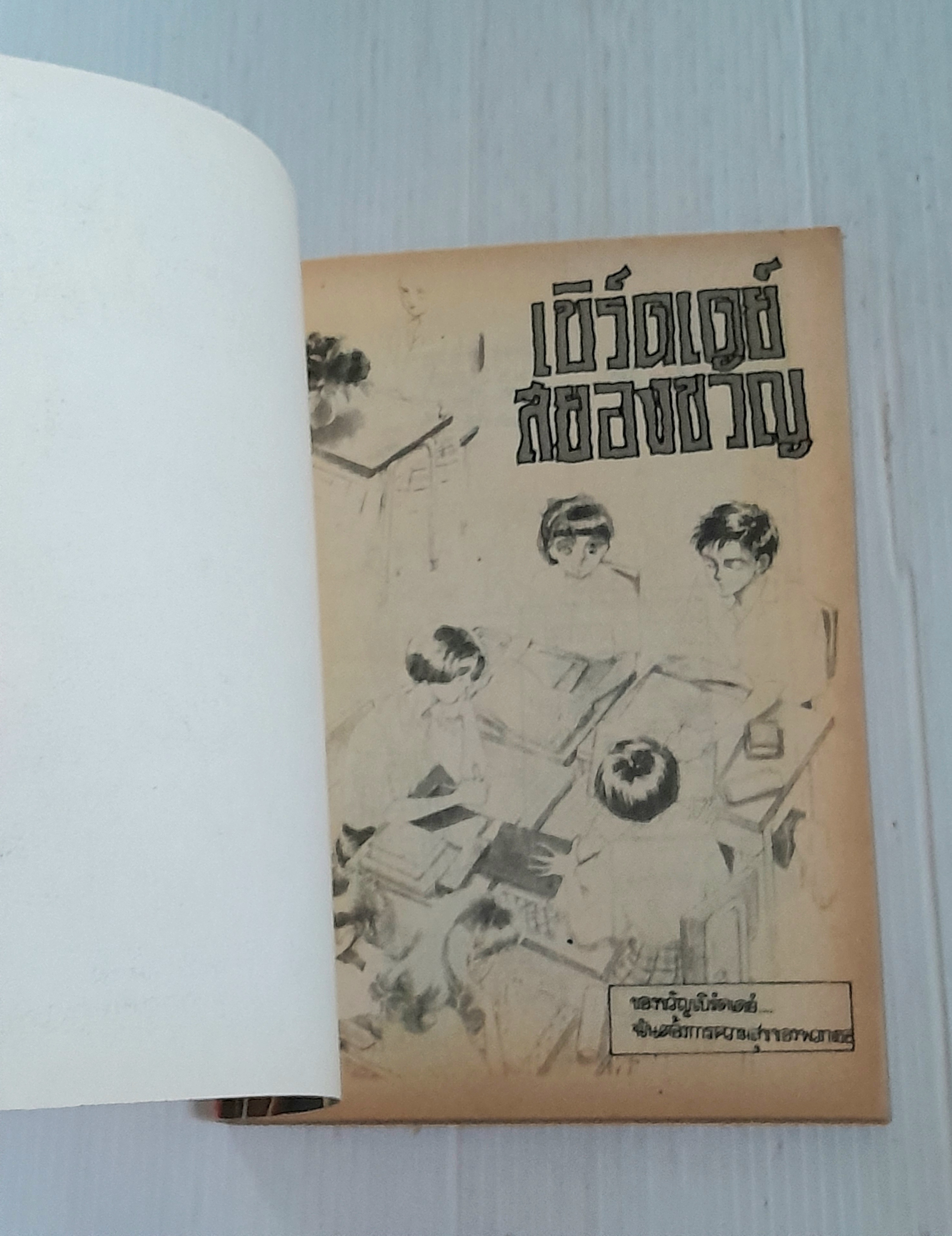 เบิร์ดเดย์สยองขวัญ (เล่มเดียวจบ)