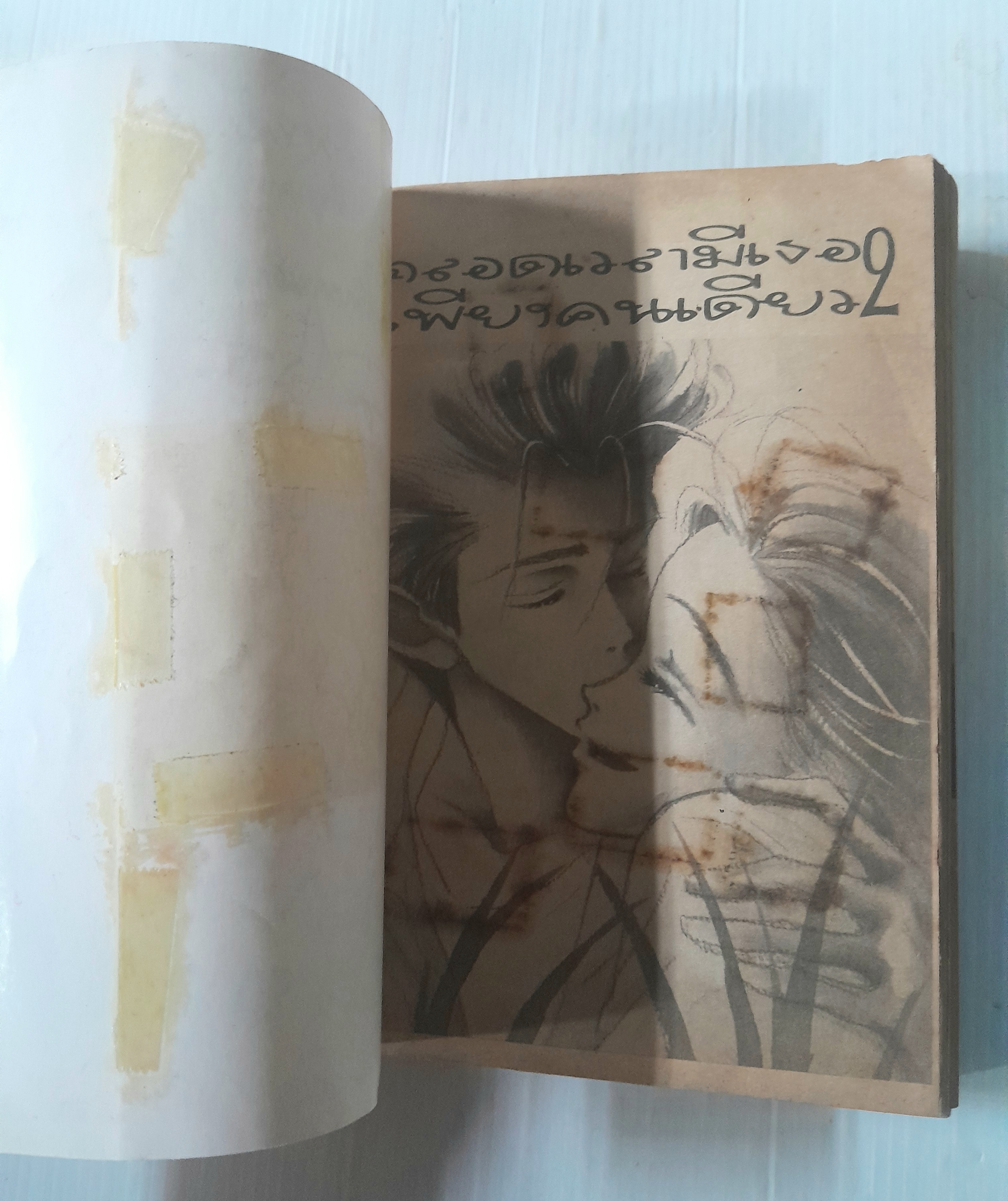 ตลอดเวลามีเธอเพียงคนเดียว 2 เล่มจบ / AI YAZAWA