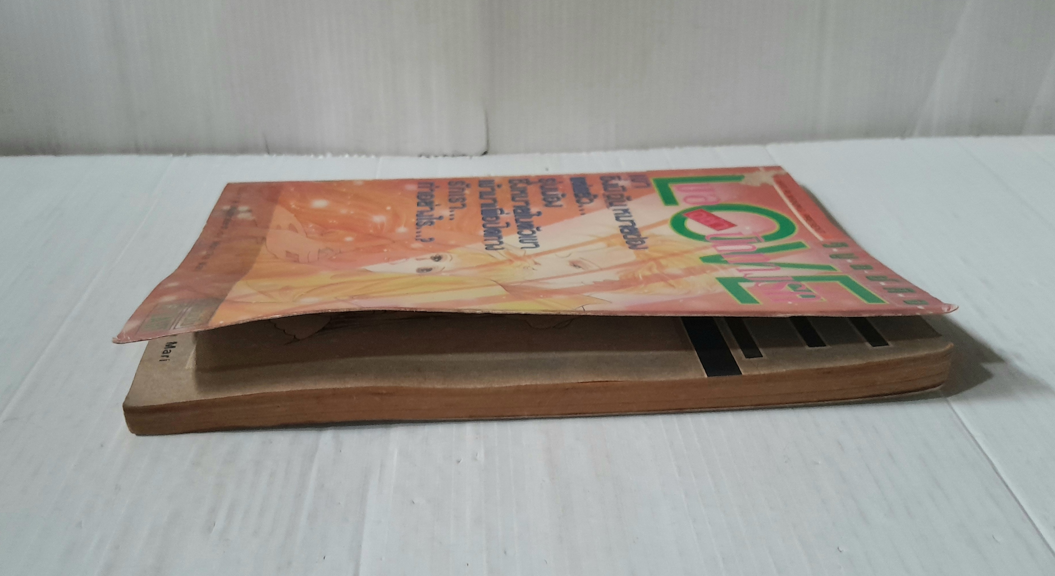 ขออย่าปิดทางรัก (เล่มเดียวจบ) / Morioka Mari