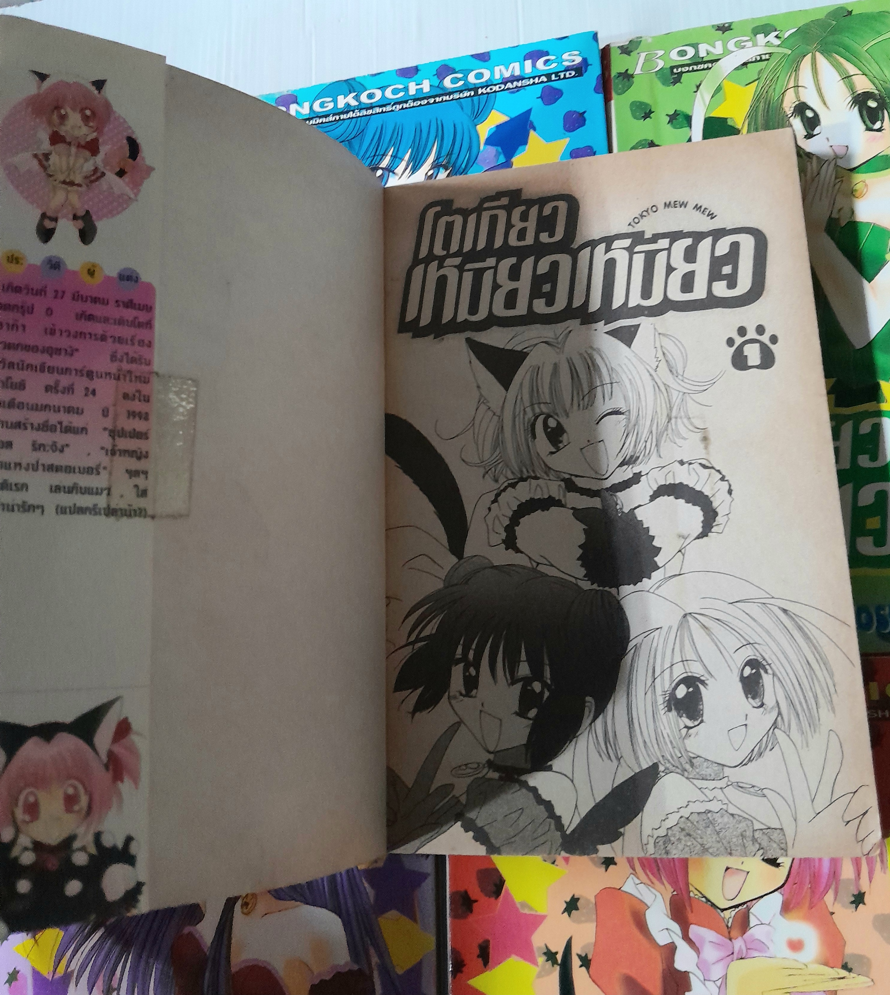 โตเกียวเหมียวเหมียว 7 เล่มจบ