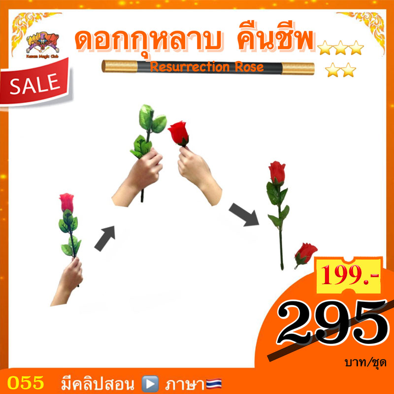 อุปกรณ์มายากล ดอกกุหลาบคืนชีพ (Resurrection Rose Magic)