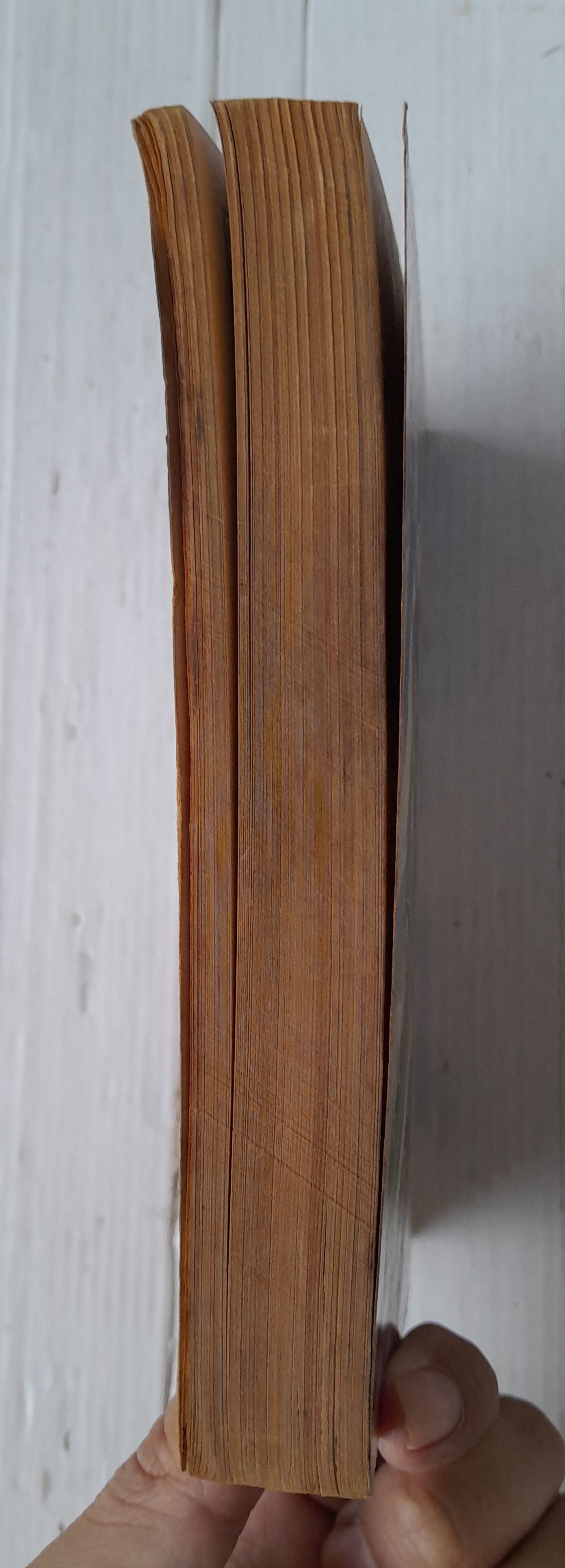 ไมเคิ้ลเหมียว เล่ม 1 (จบในฉบับ)