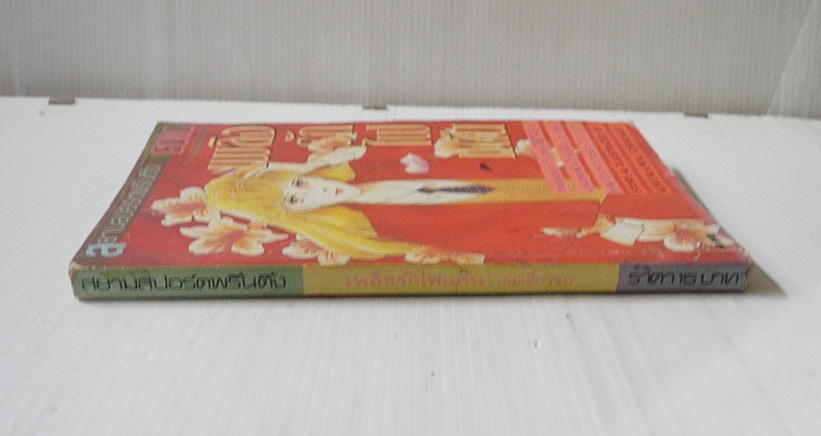 เพลิงรักไฟแค้น (เล่มเดียวจบ) / Kikukawa Chikako